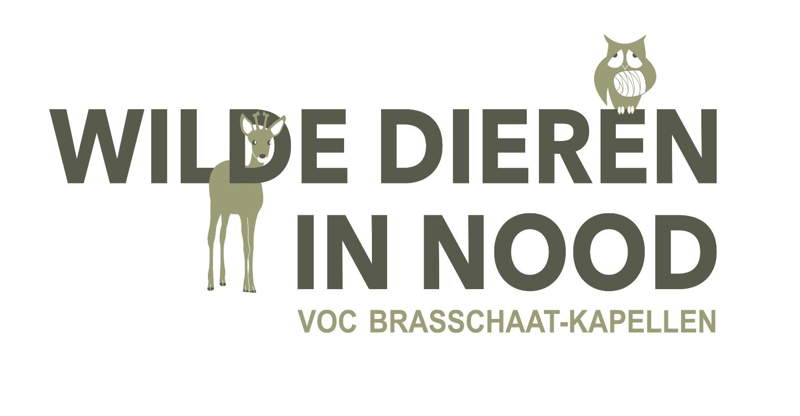 Vogel opvangcentrum Brasschaat