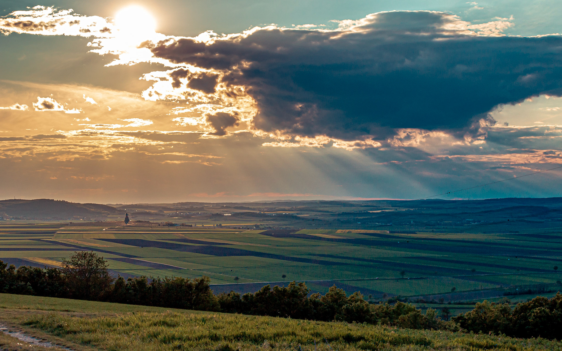 Weinviertel, May 2020