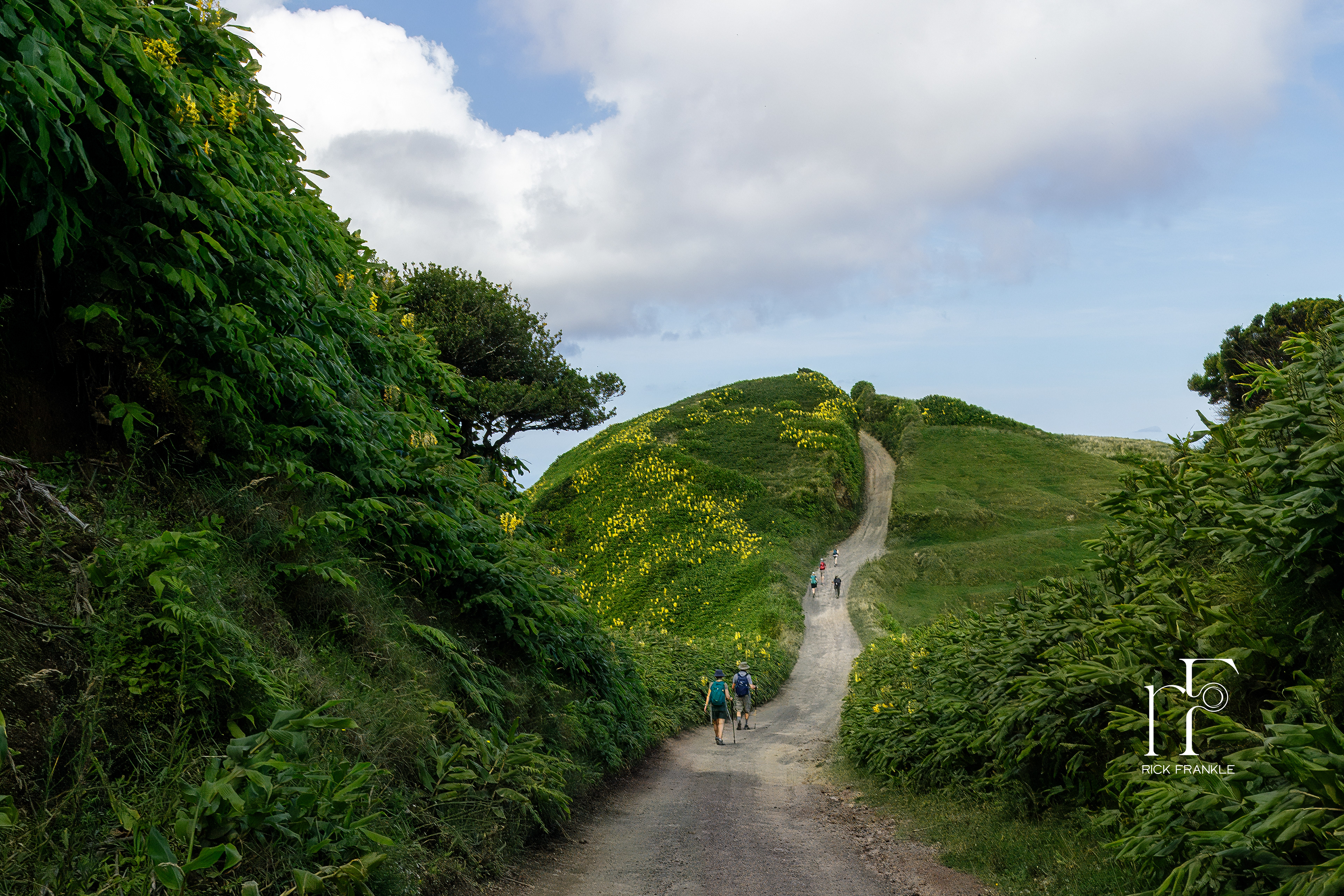 SAO MIGUEL ISLAND, AZORES