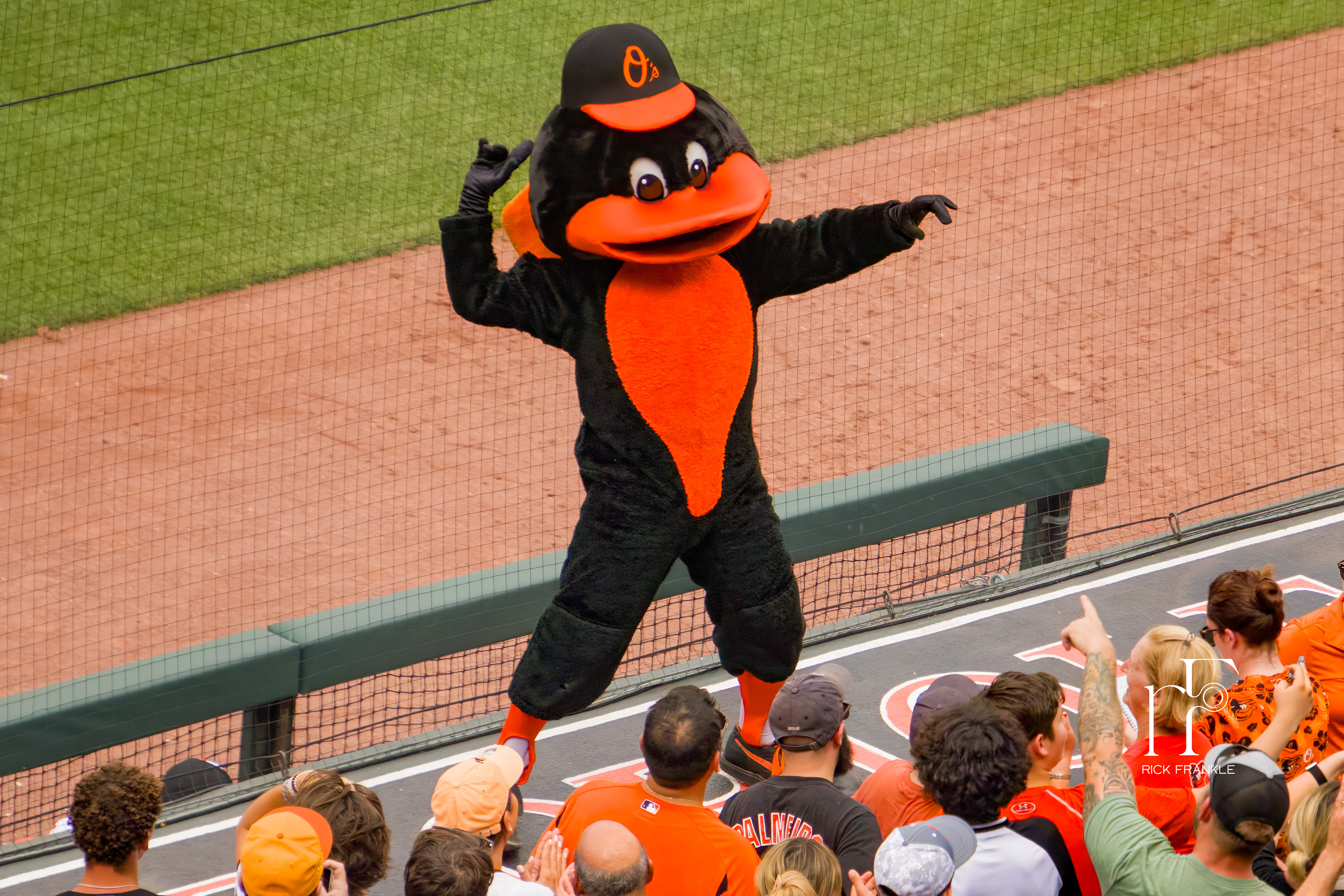 ORIOLE PARK AT CAMDEN YARDS