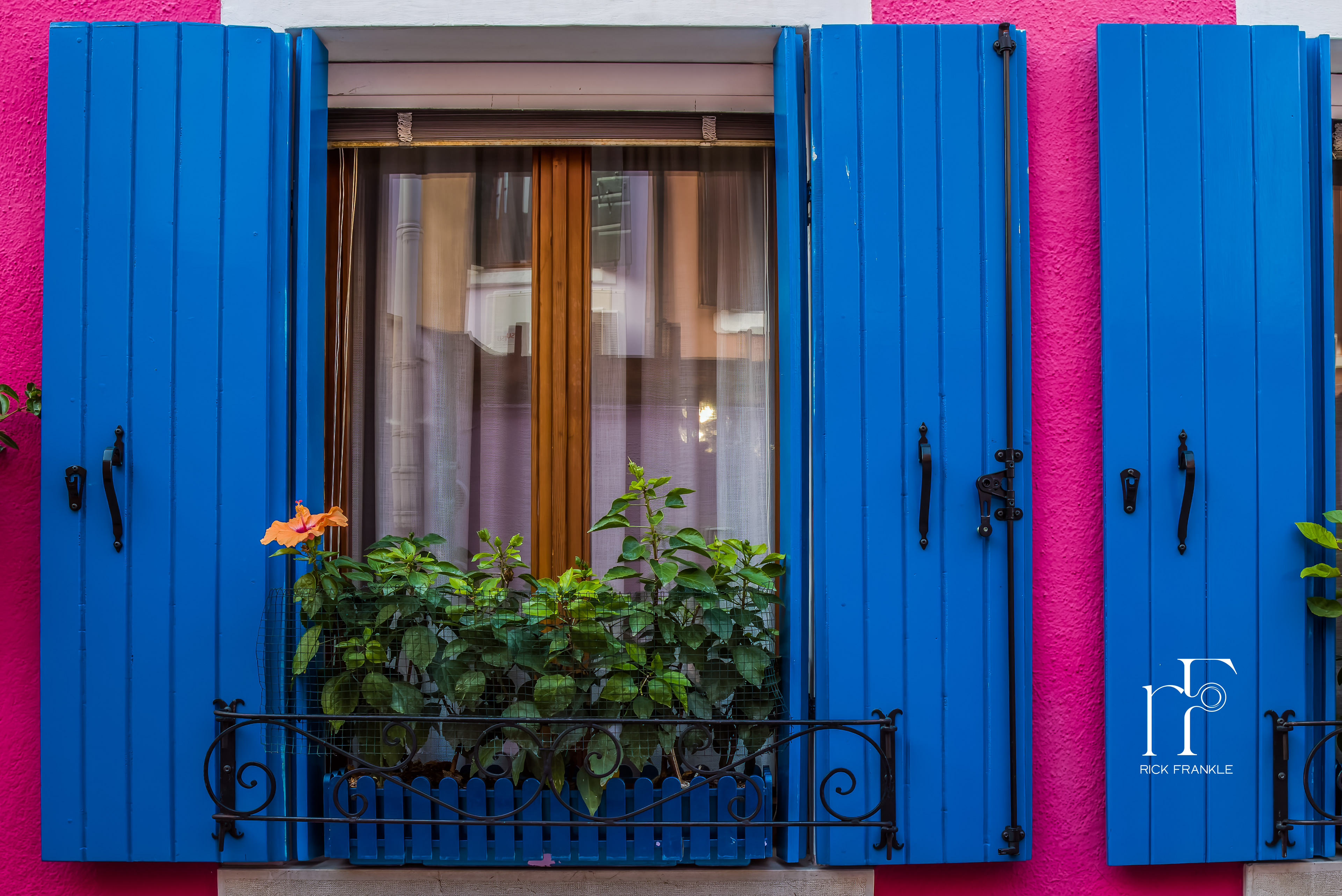 BURANO WINDOW [VENICE]