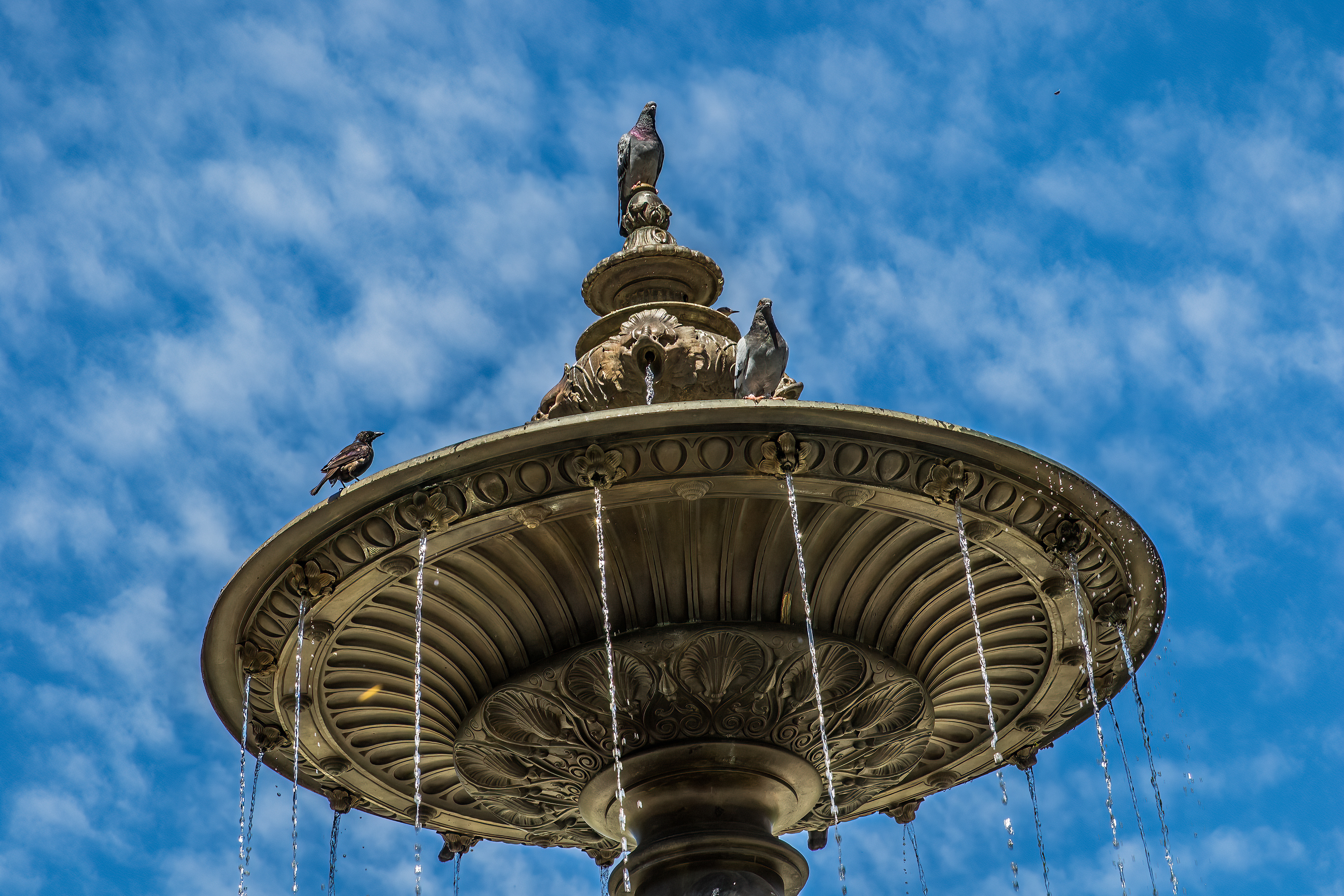 BREWER FOUNTAIN [BOSTON COMMON]
