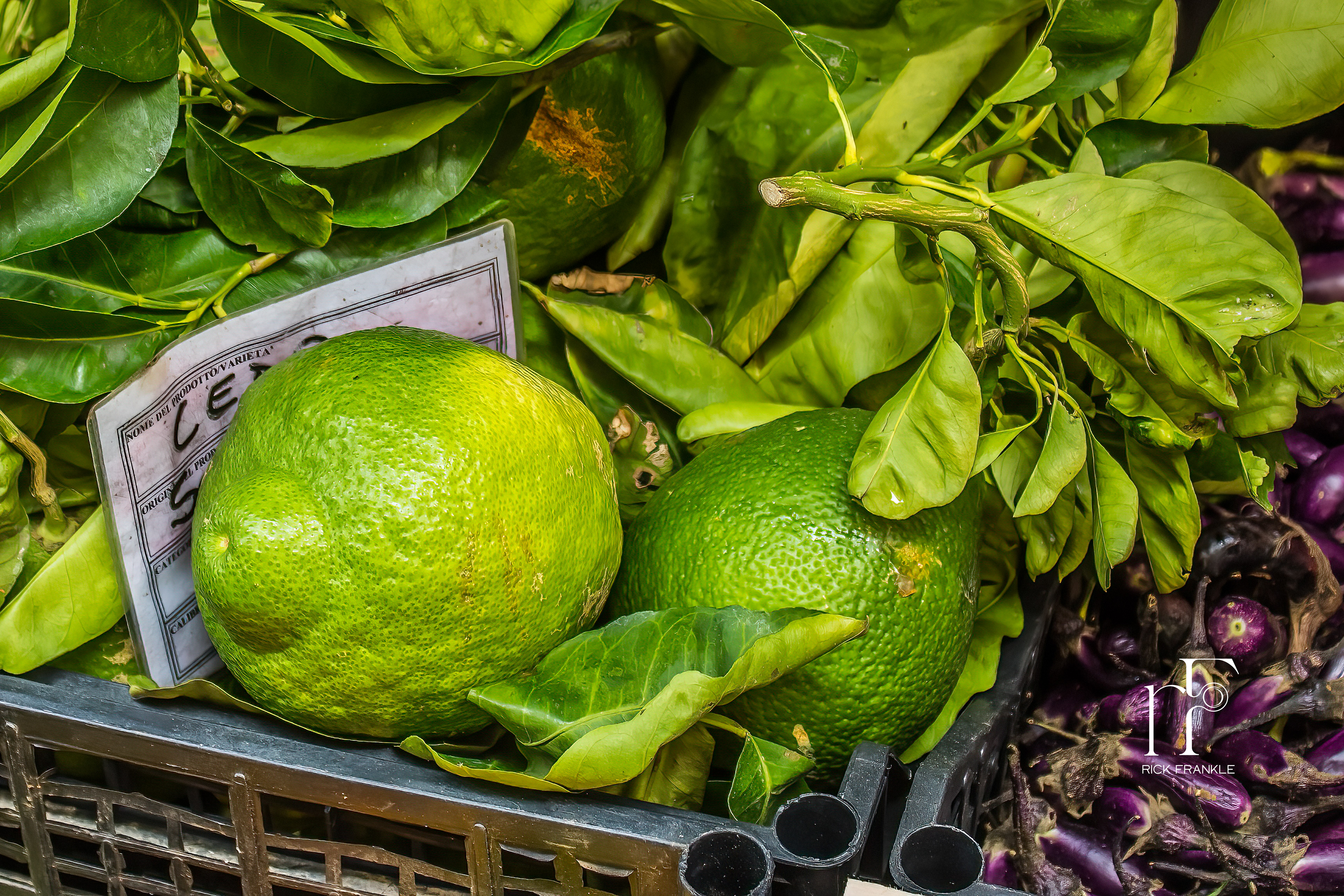 LIMONCELLO  [SORRENTO]