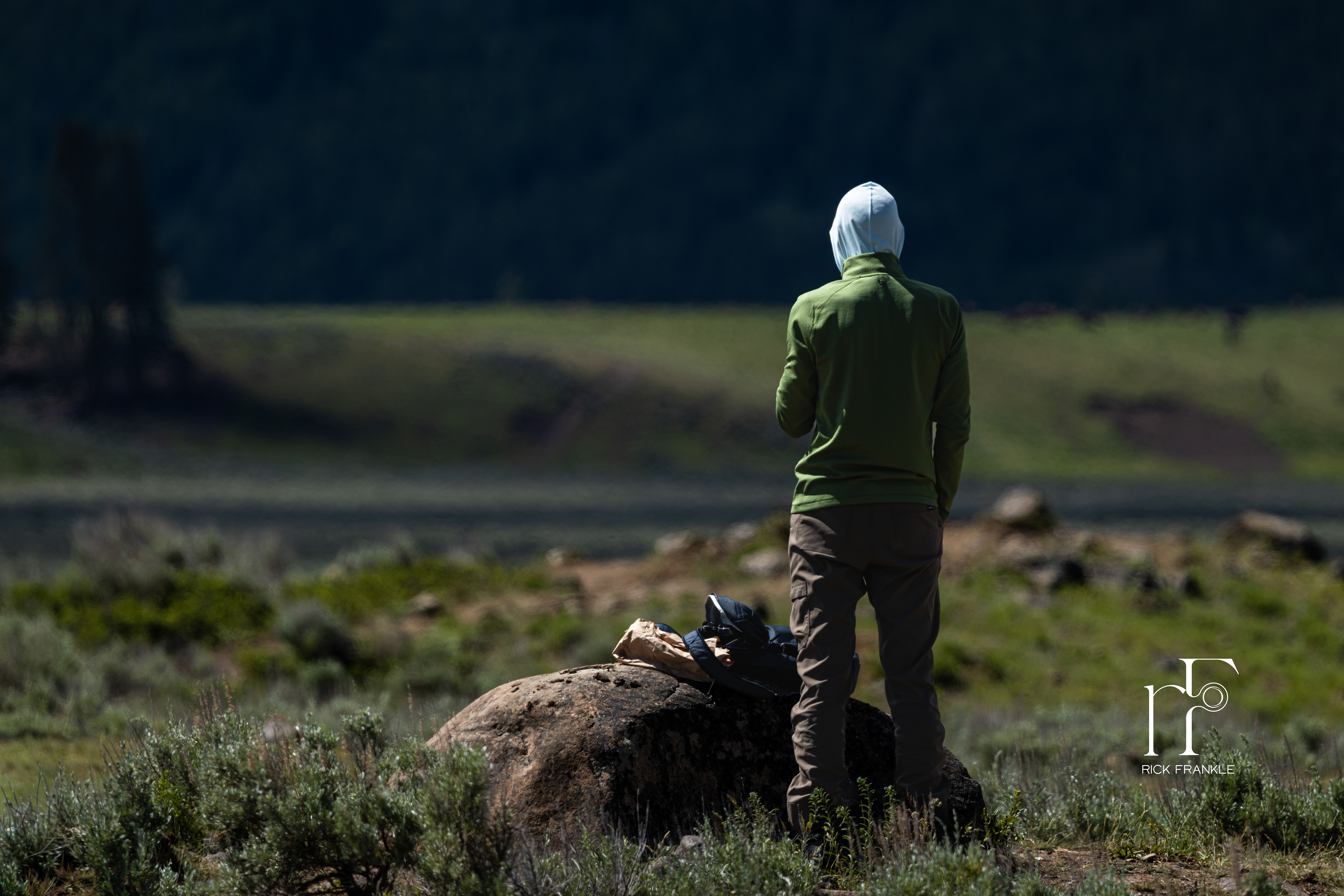 GAZE! [LAMAR VALLEY, YELLOWSTONE]