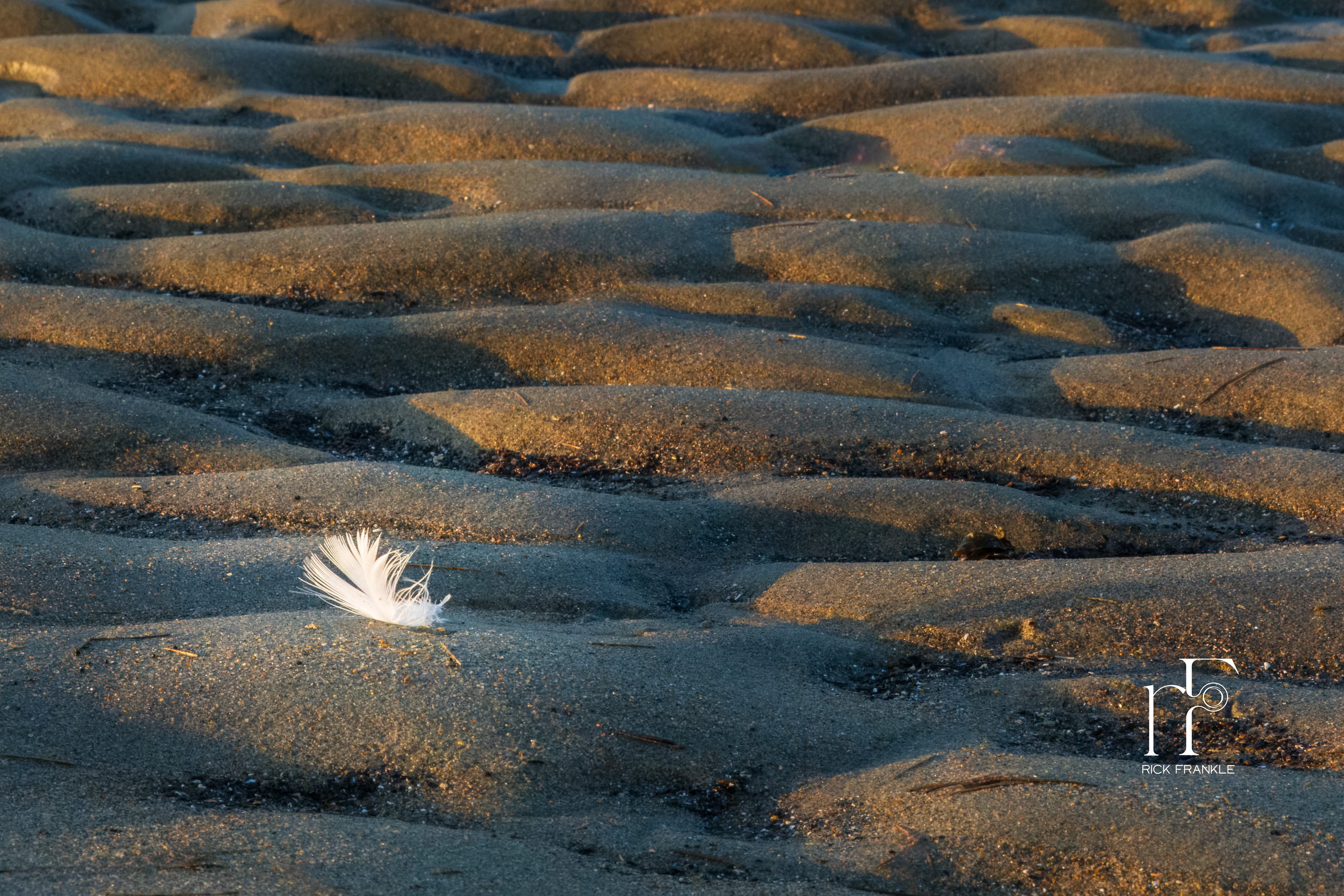 SEASIDE WHISPER [POPHAM BEACH]