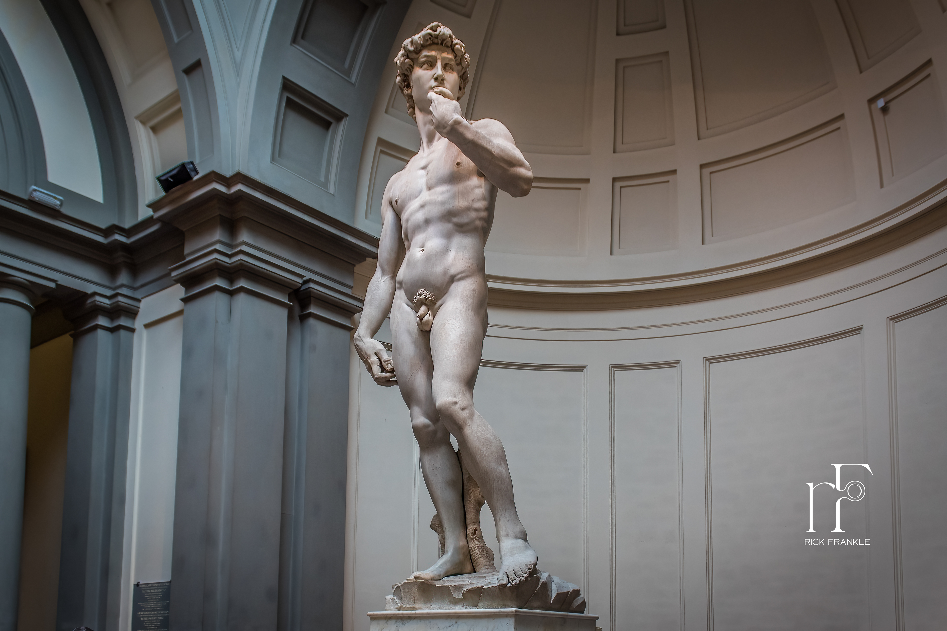 MICHELANGELO'S DAVID [FLORENCE]