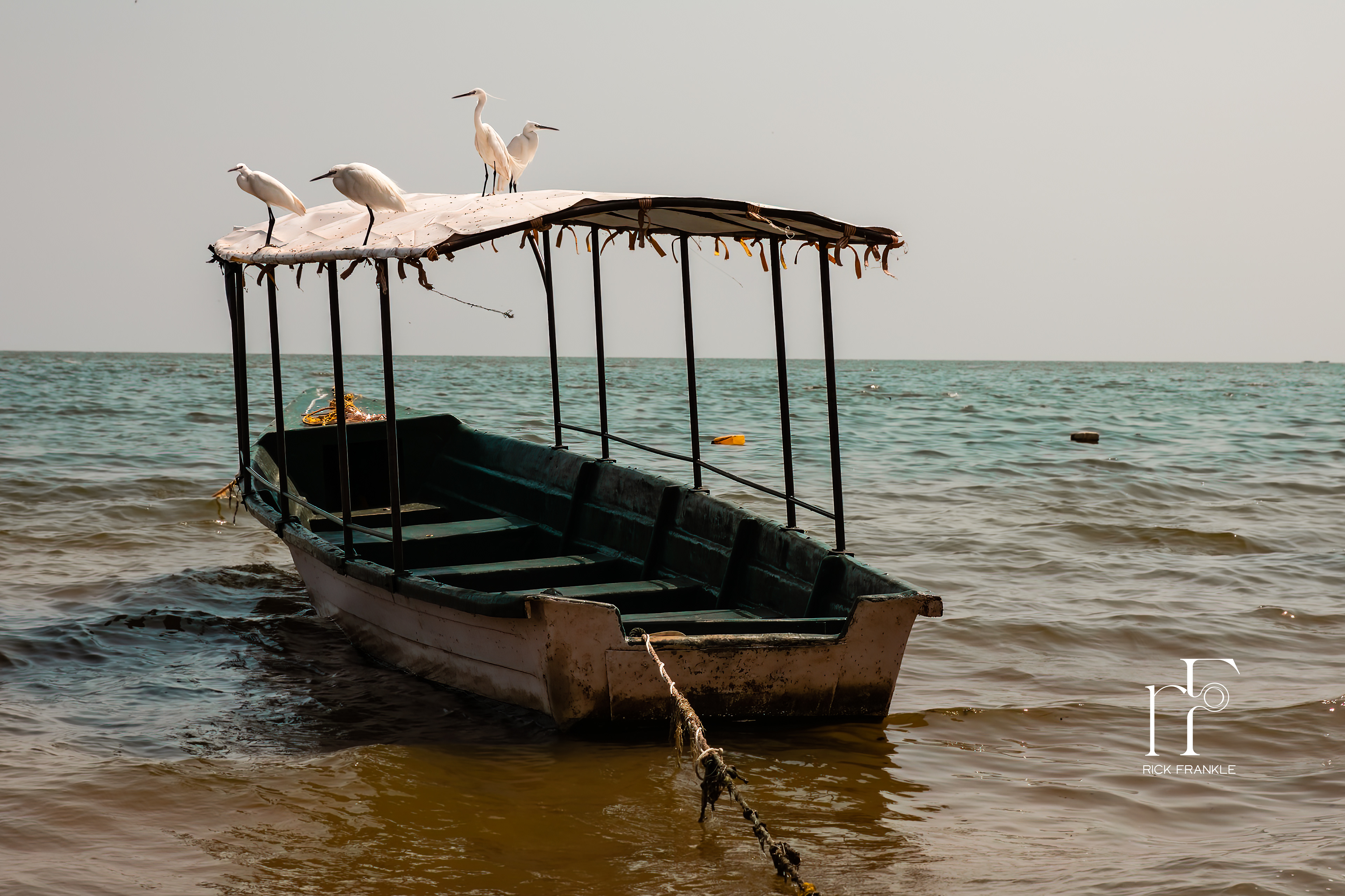 AERO BEACH ON LAKE VICTORIA [ENTEBBE]