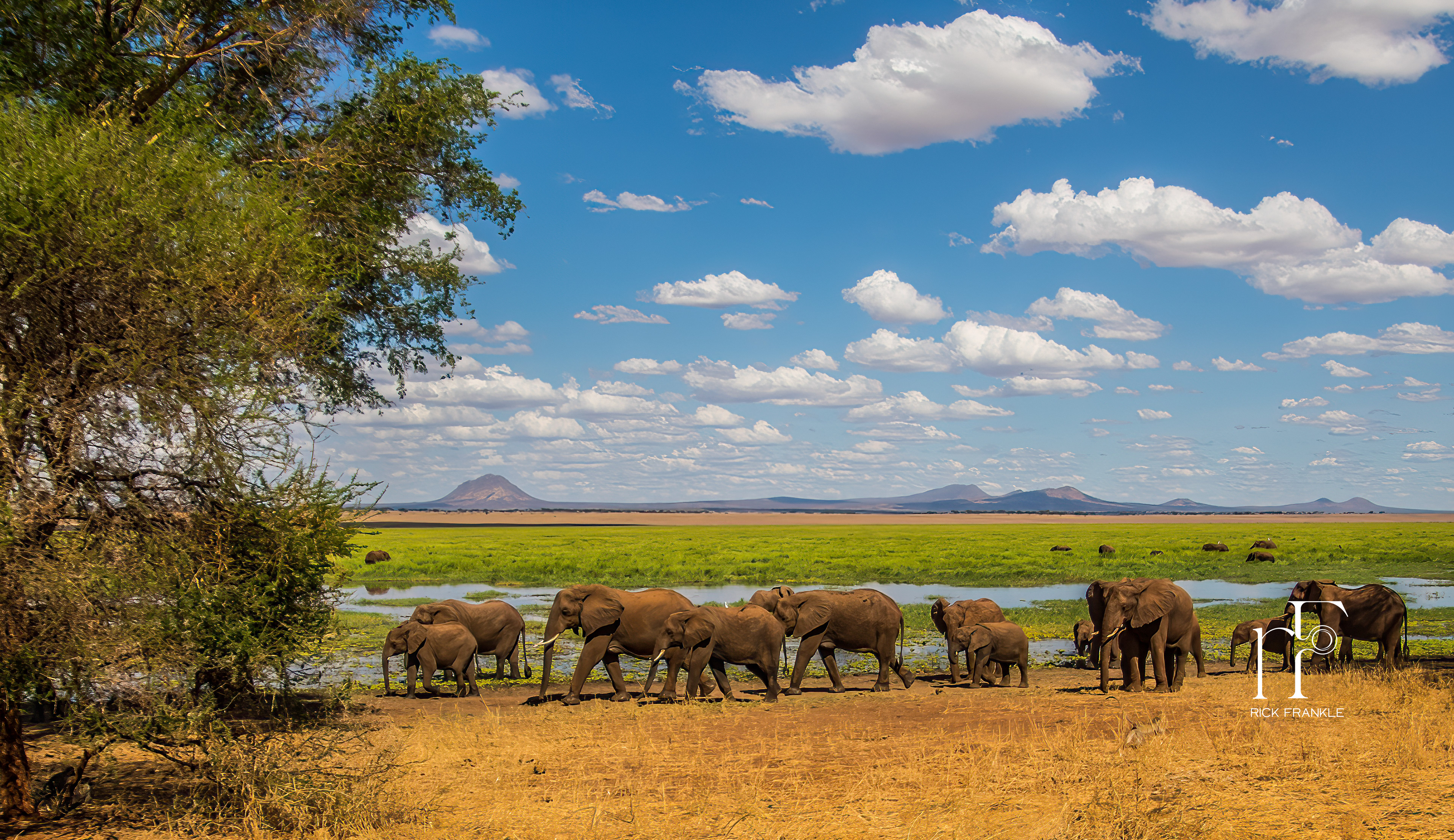 SILALE SWAMPS [TARANGIRE]