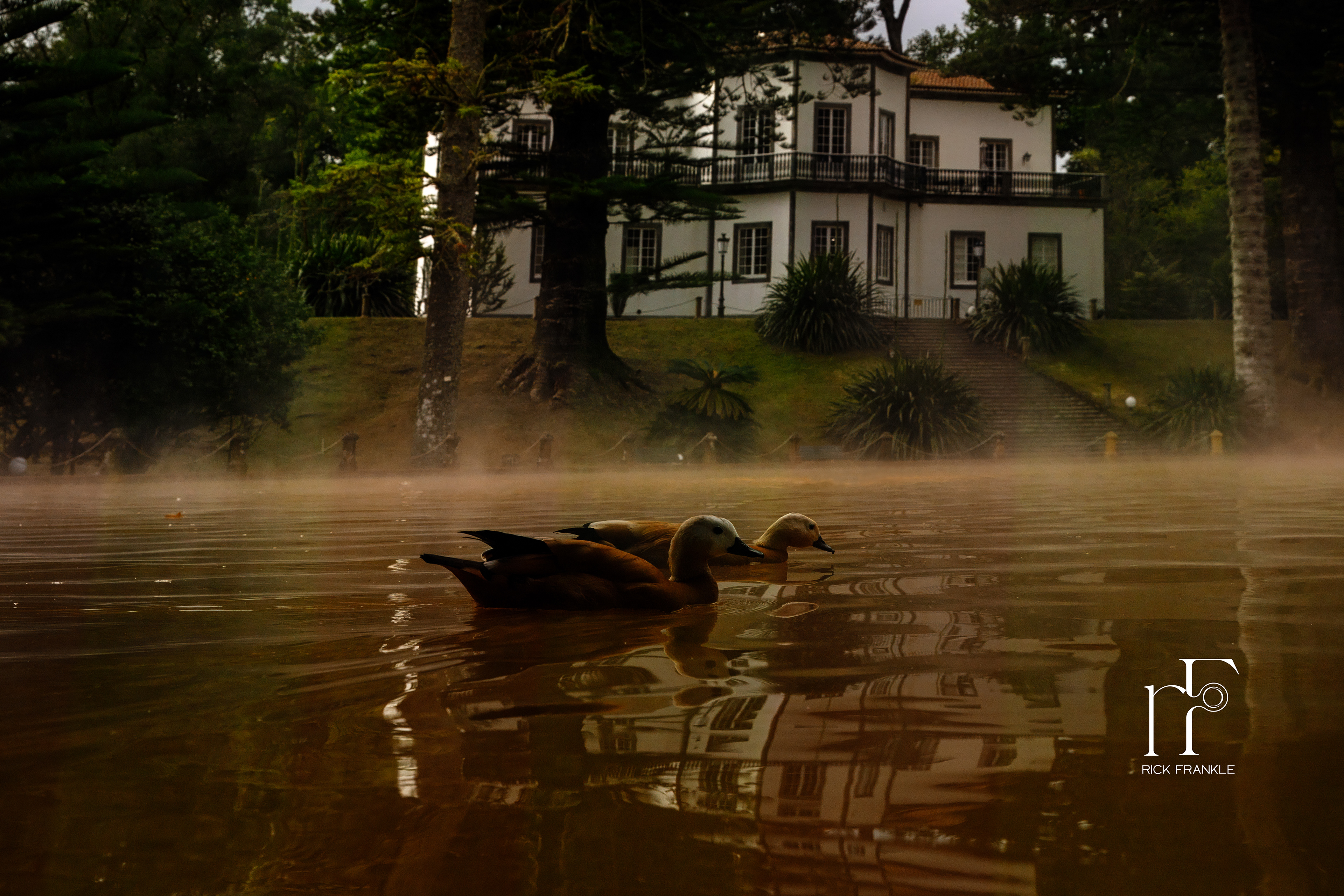 TERRA NOSTRA MINERAL BATHS