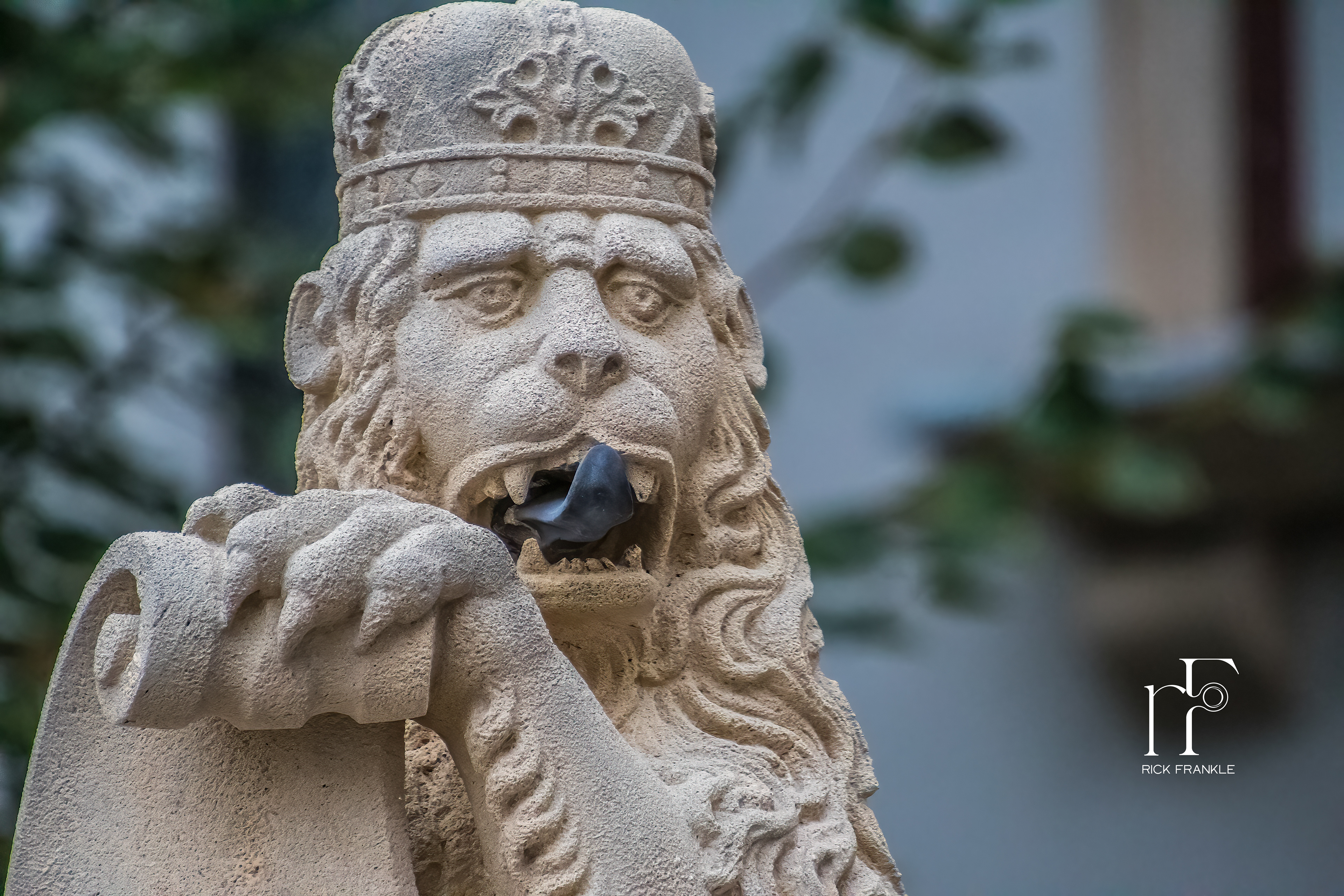 THE IMPERIAL TREASURY [VIENNA, AUSTRIA]