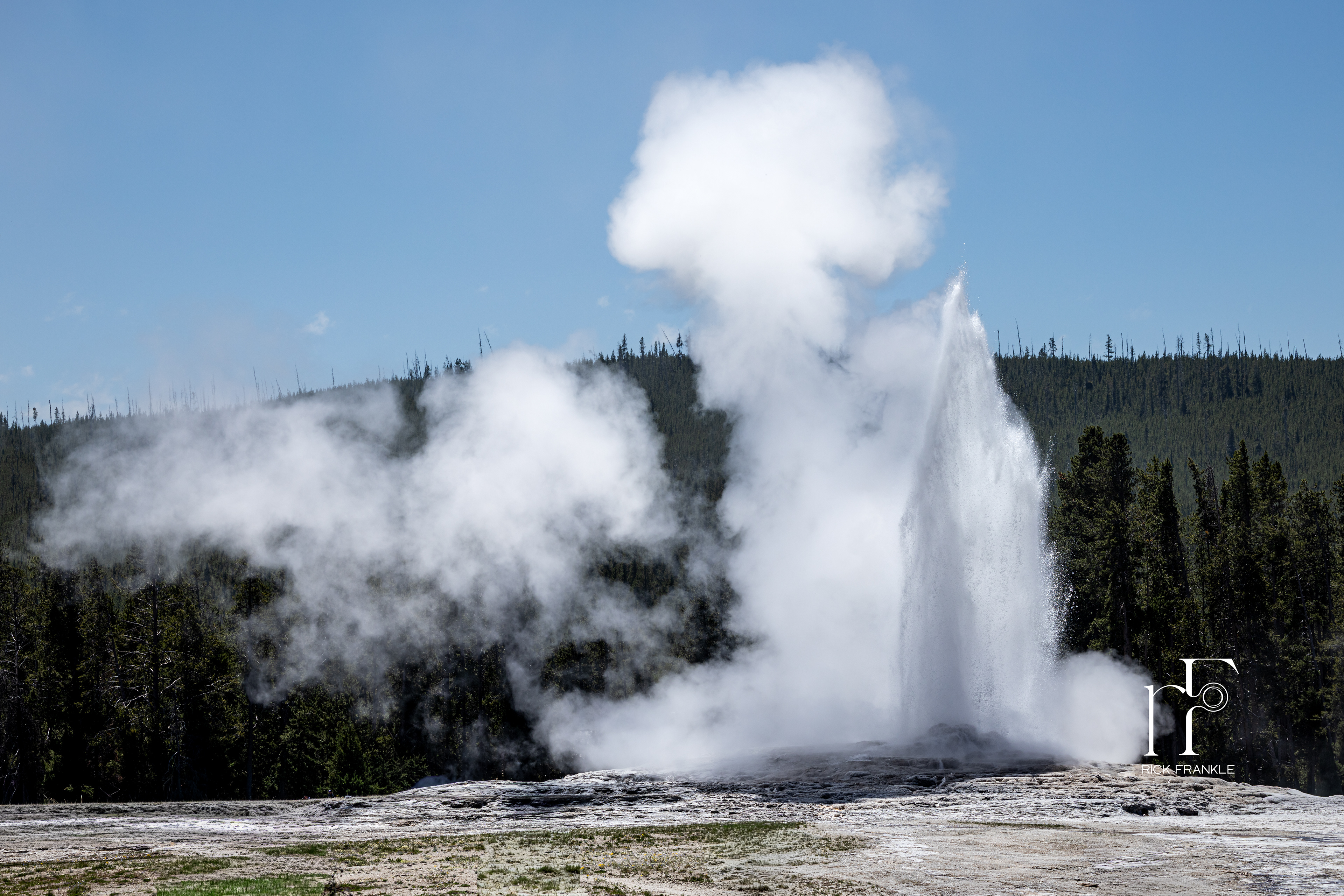 OLD FAITHFUL [YELLOWSTONE NATIONAL PARK]