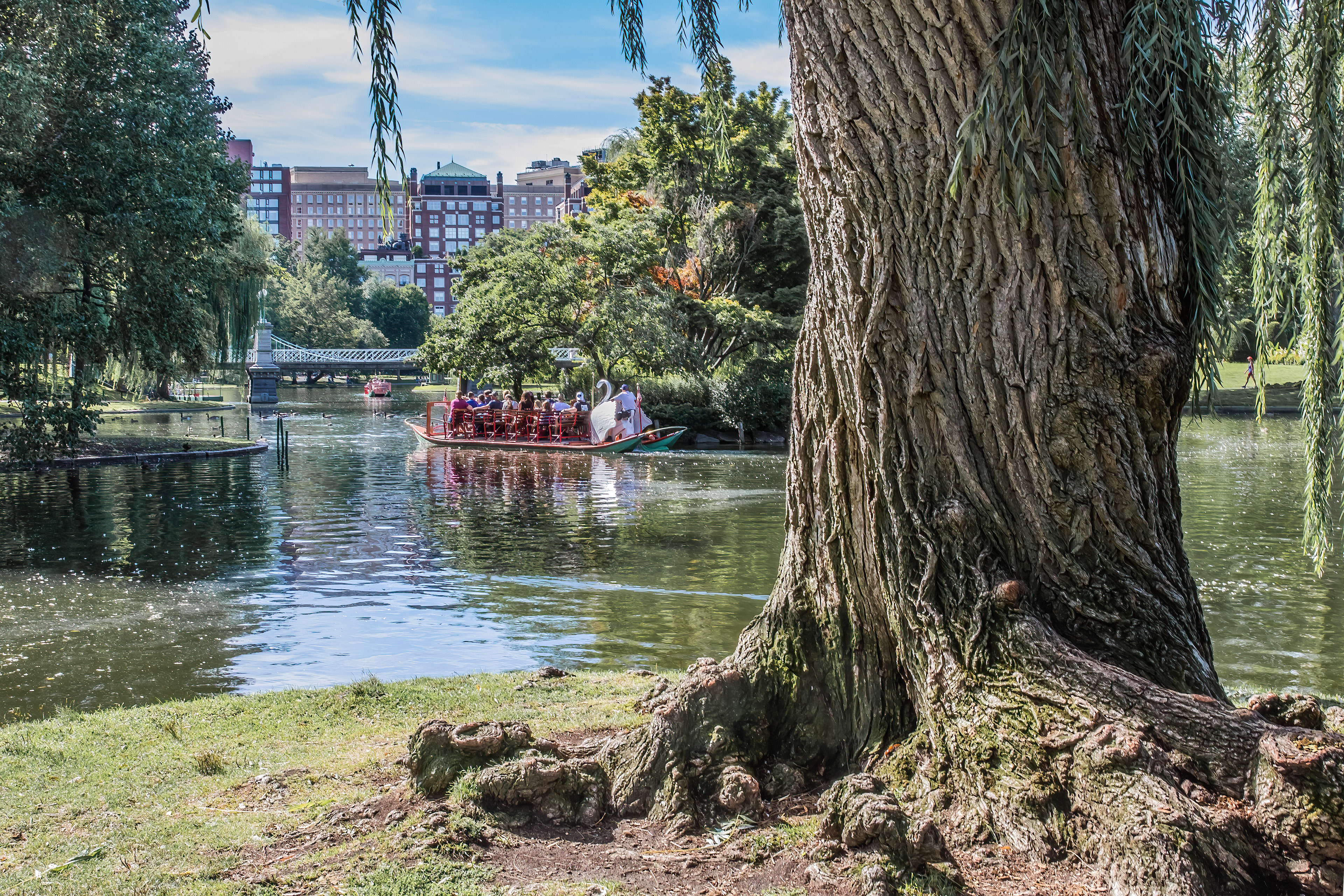 SWAN BOAT [BOSTON PUBLIC GARDEN]