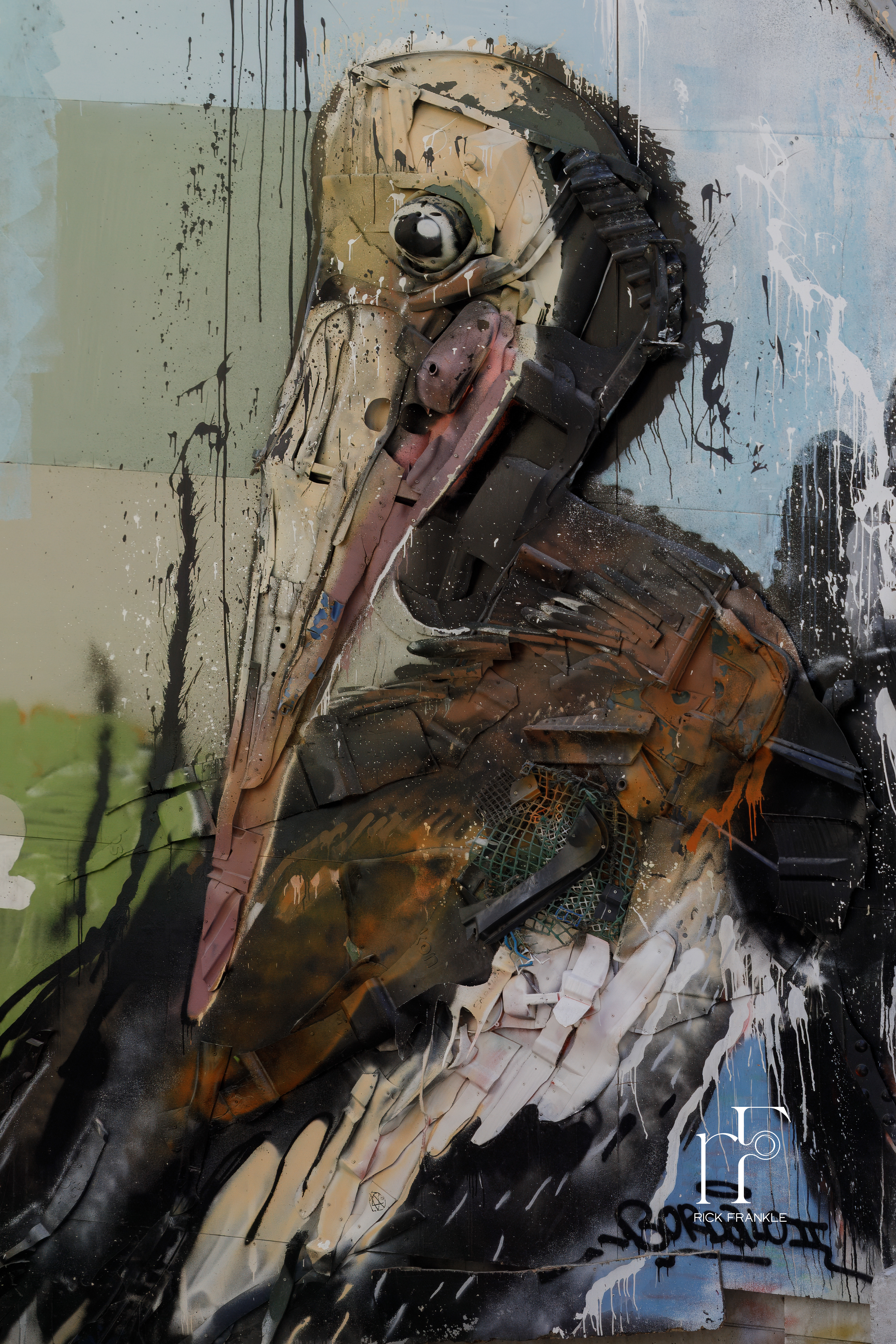 BORDALO PELICANS