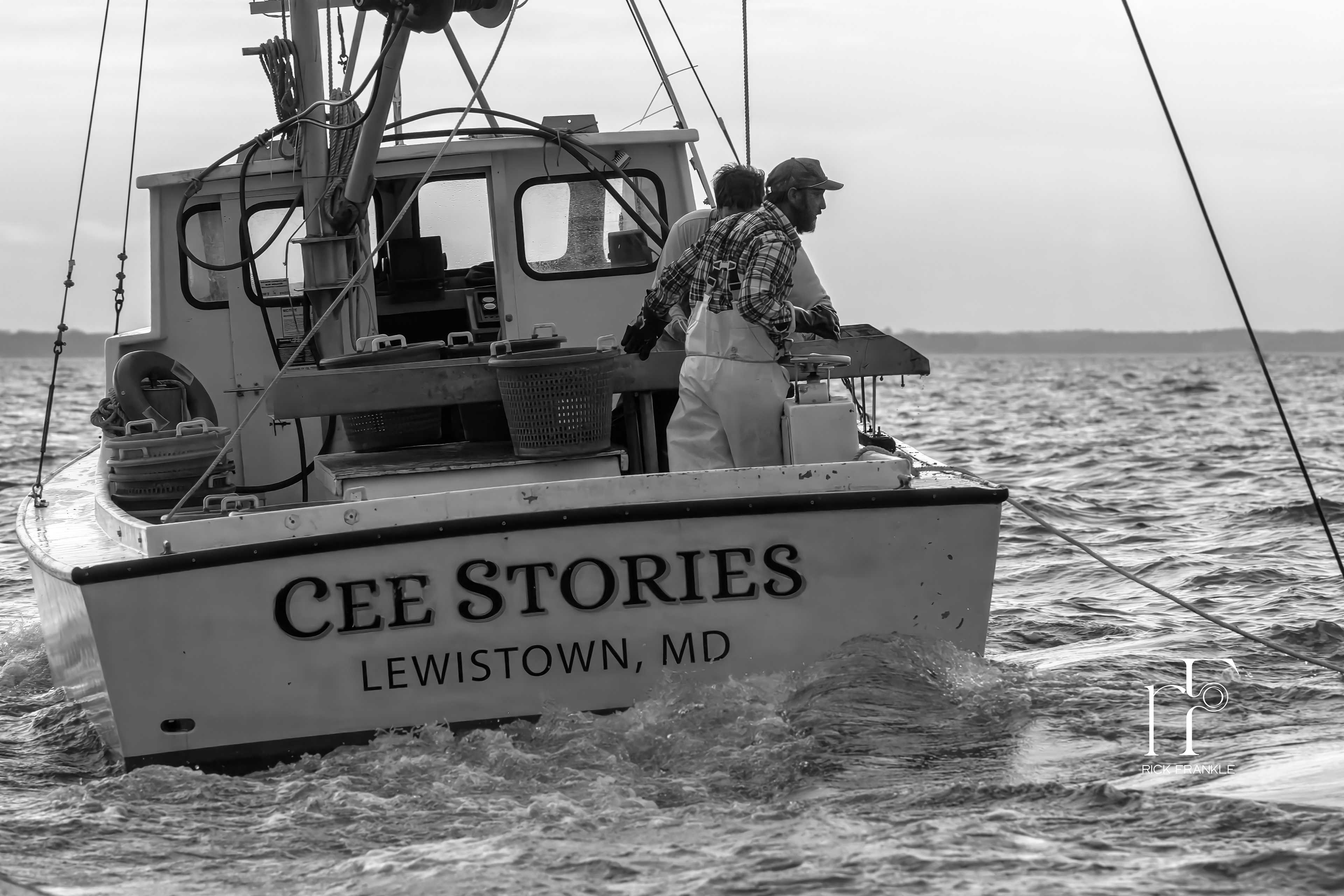 CEE STORIES