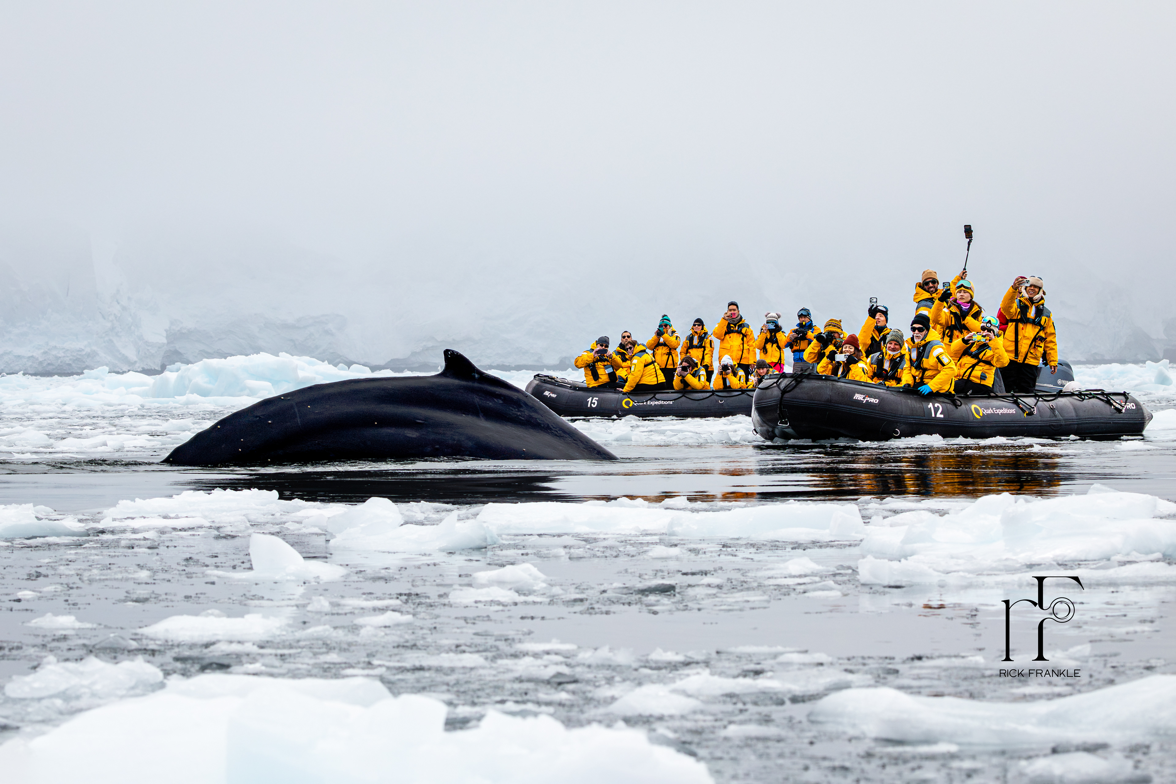 ORNE HARBOUR [ANTARCTICA]