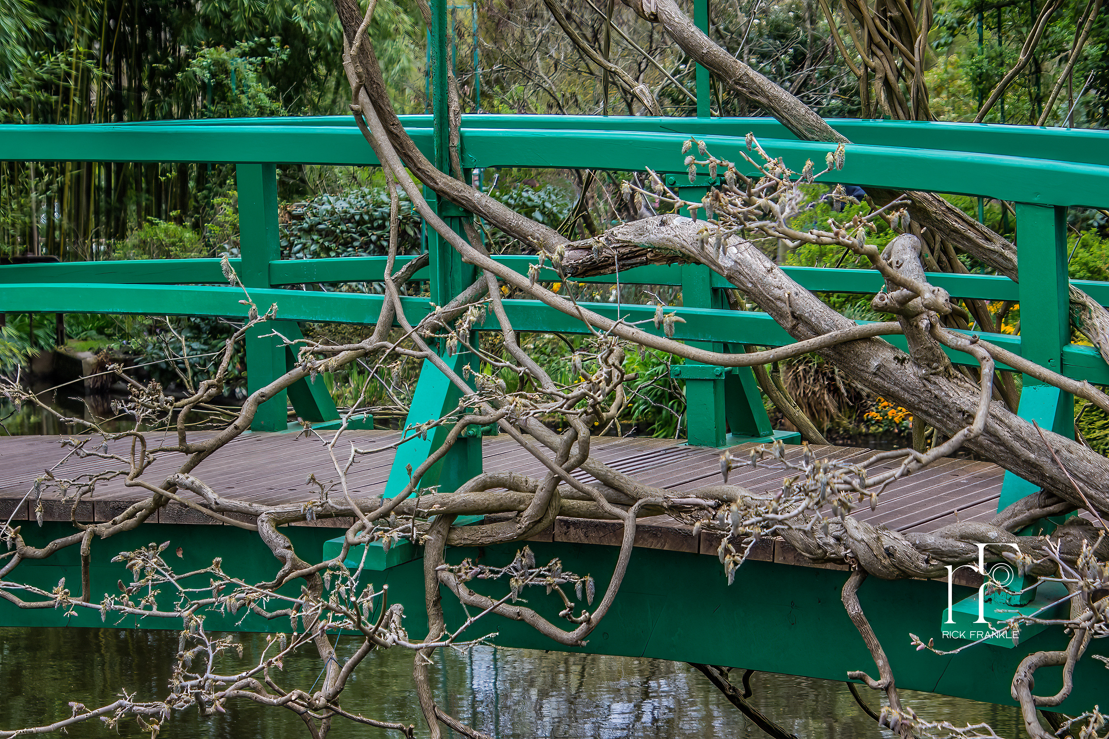 CLAUDE MONET GARDEN [GIVERNY]