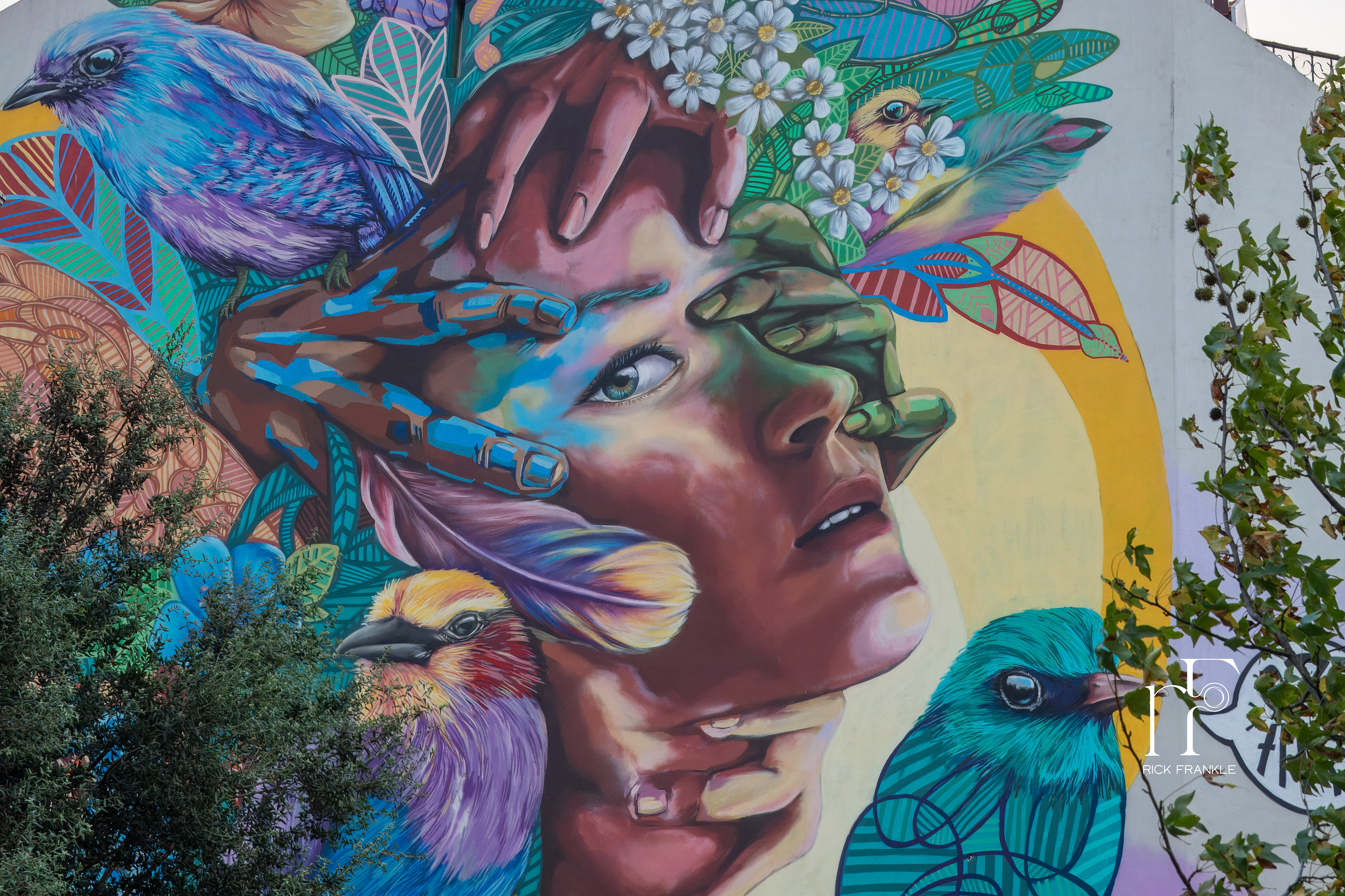 ALFAMA STREET ART