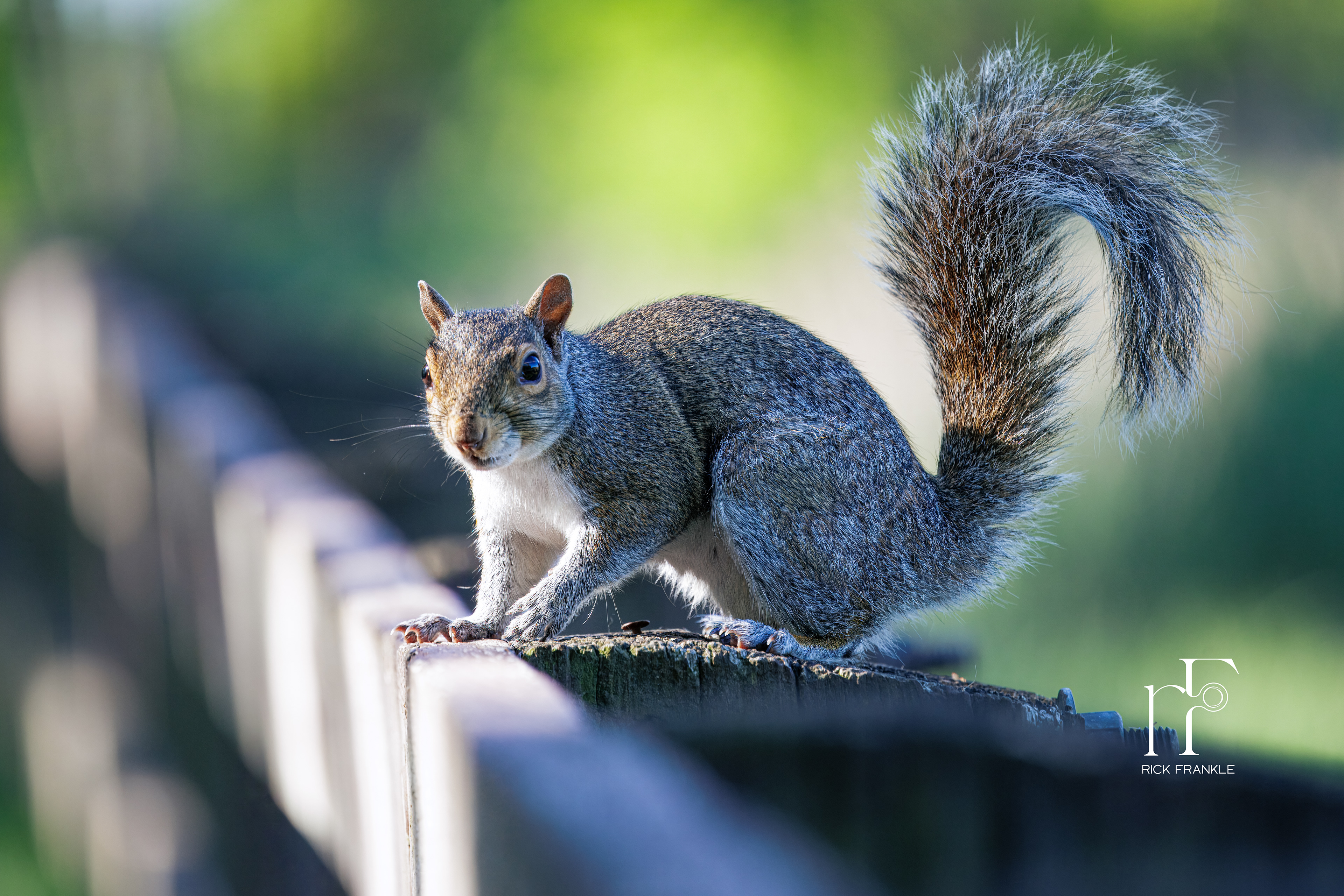 MARINER POINT PARK [BALTIMORE COUNTY]
