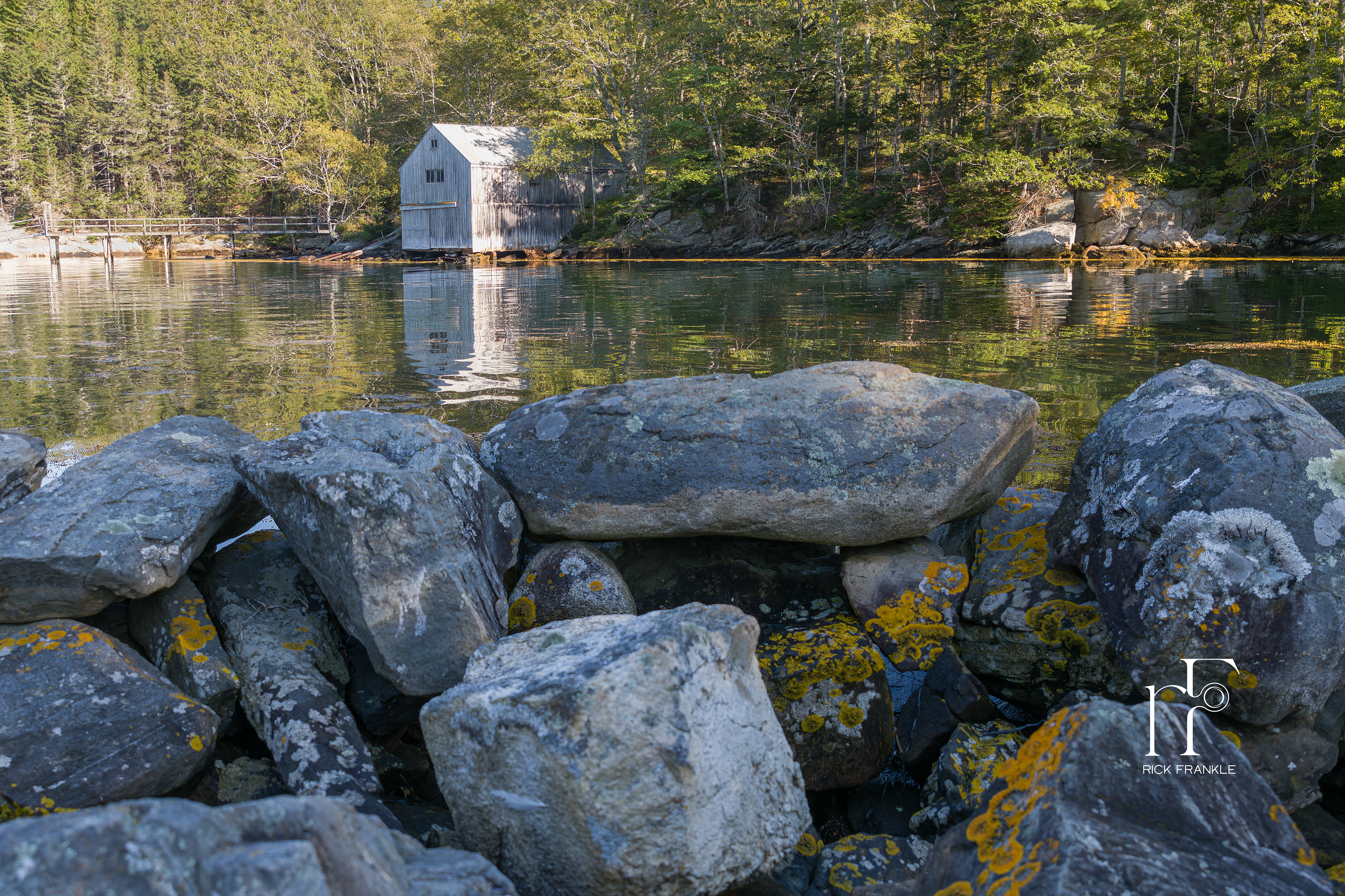 BACK COVE [NEW HARBOR]