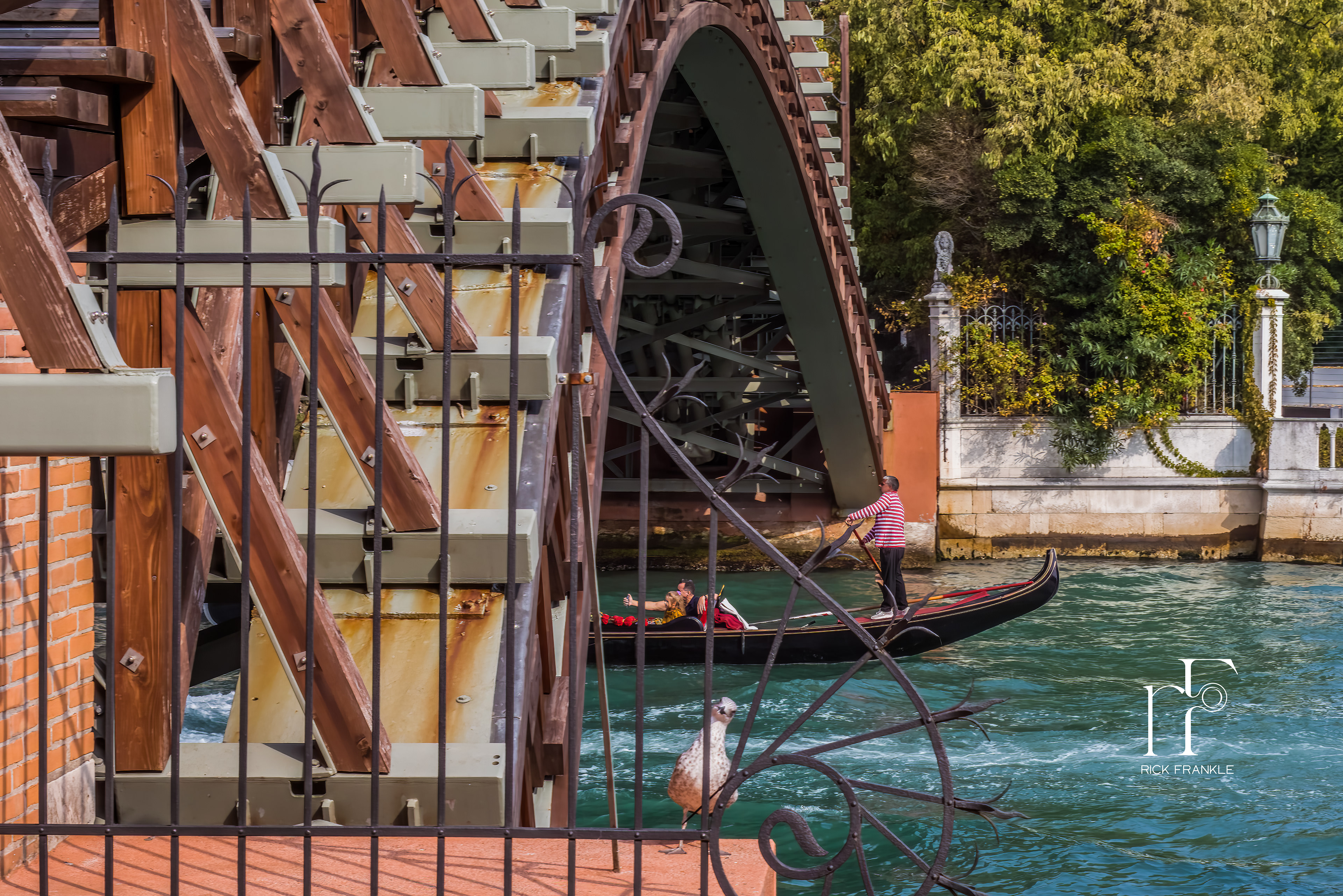 ACCADEMIA BRIDGE [VENICE]