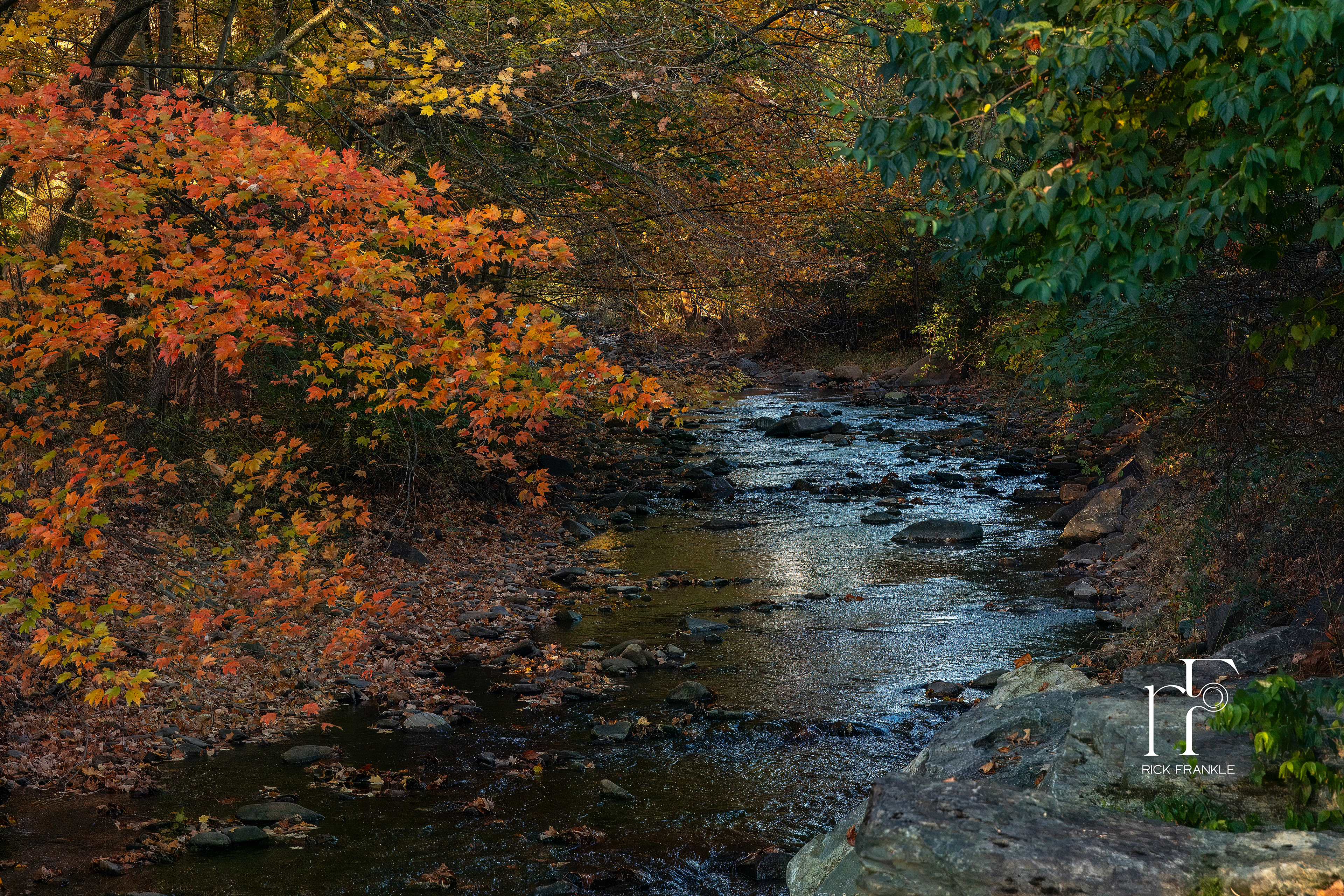 OWENS CREEK [THURMONT, MARYLAND]