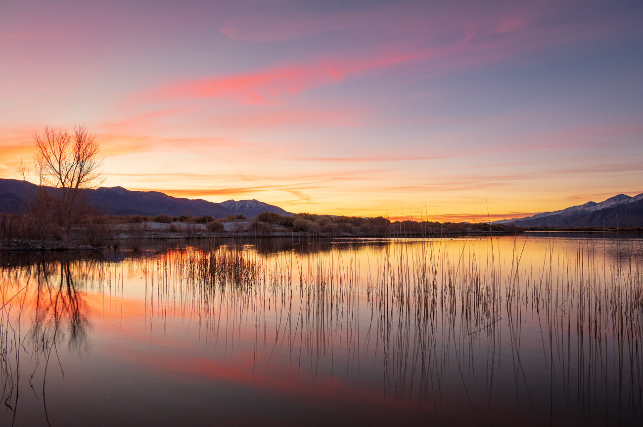 Buckley Ponds