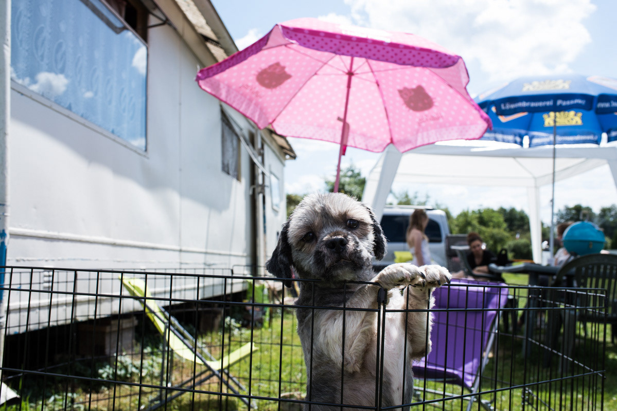 Chez Sabrina, on s’installe comme à la maison, avec ses animaux de compagnie.
