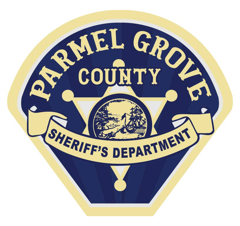 Sheriff Dept logo - for television