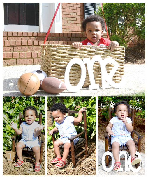 One year old shoot