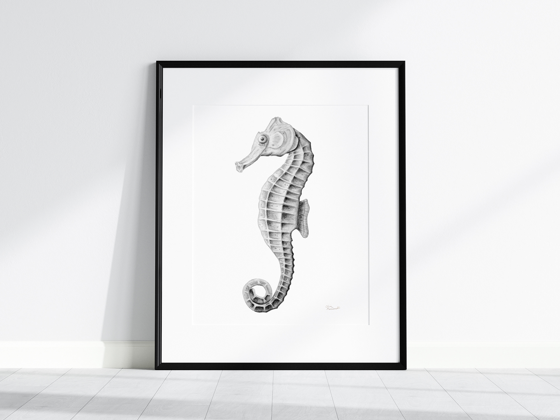 black and white pencil drawing of a seahorse.