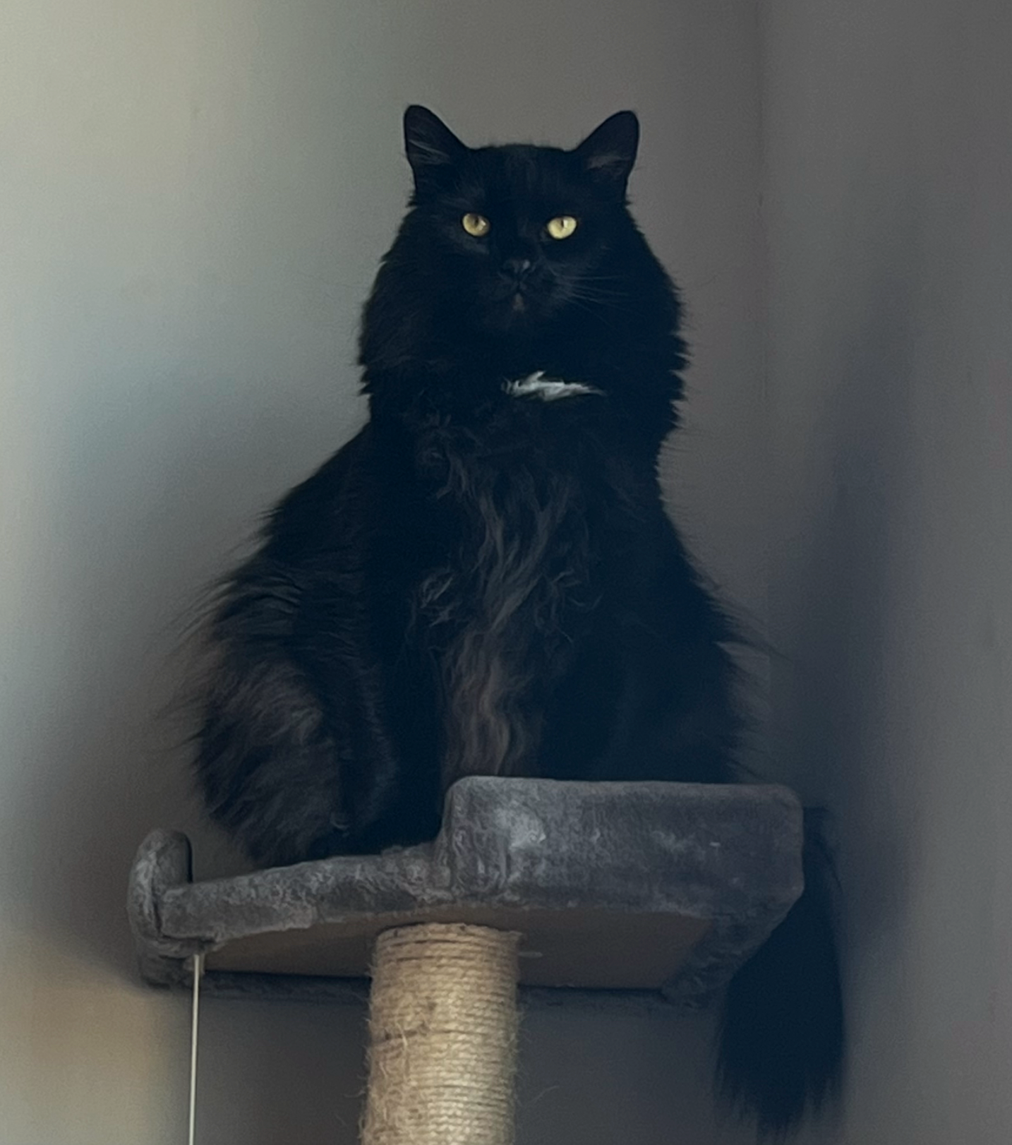 BYNX - VP OF HUMAN RELATIONS