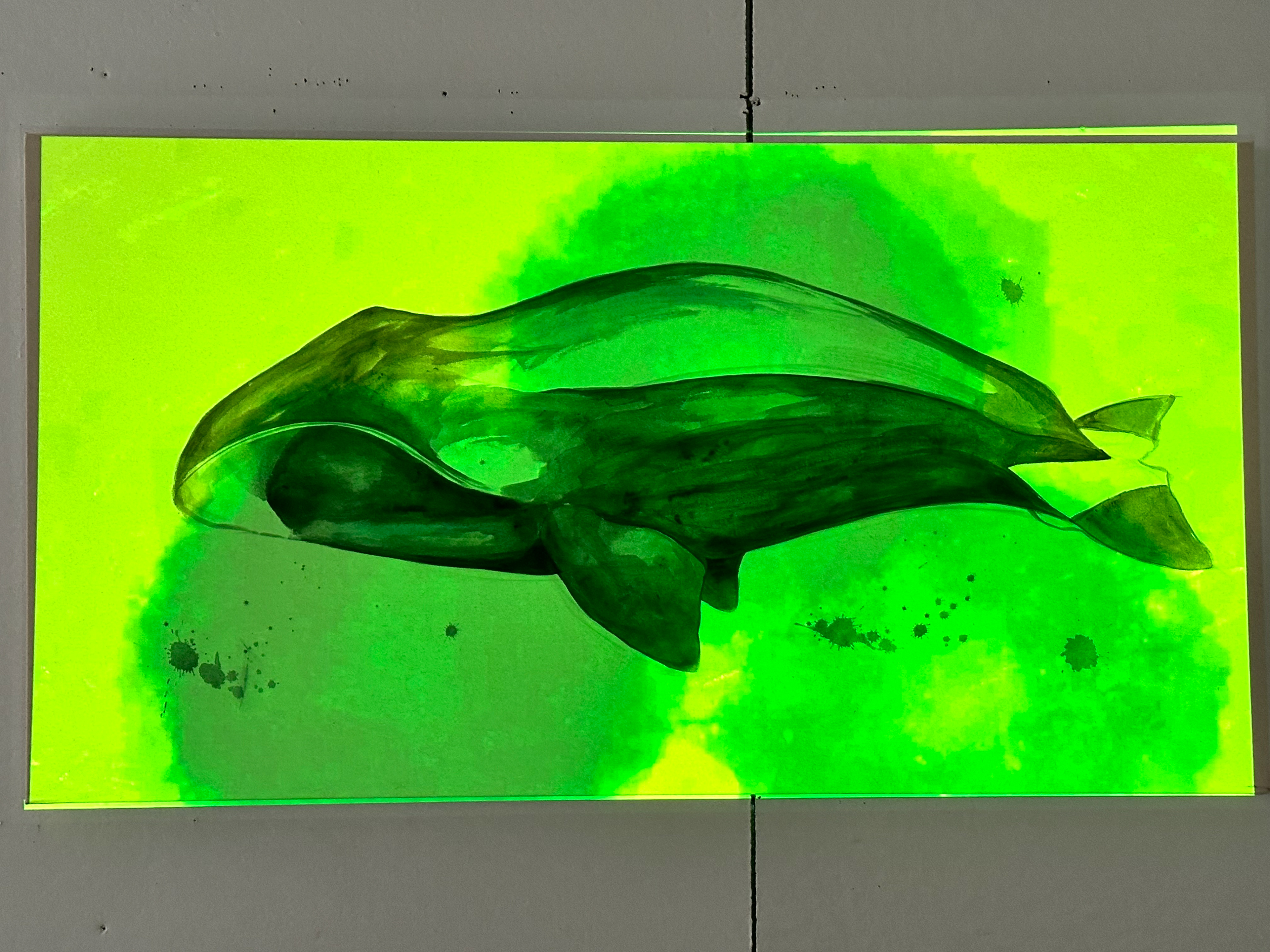 "I See the Whale, The Whale Sees Me", single-channel video projection on canvas with acrylics