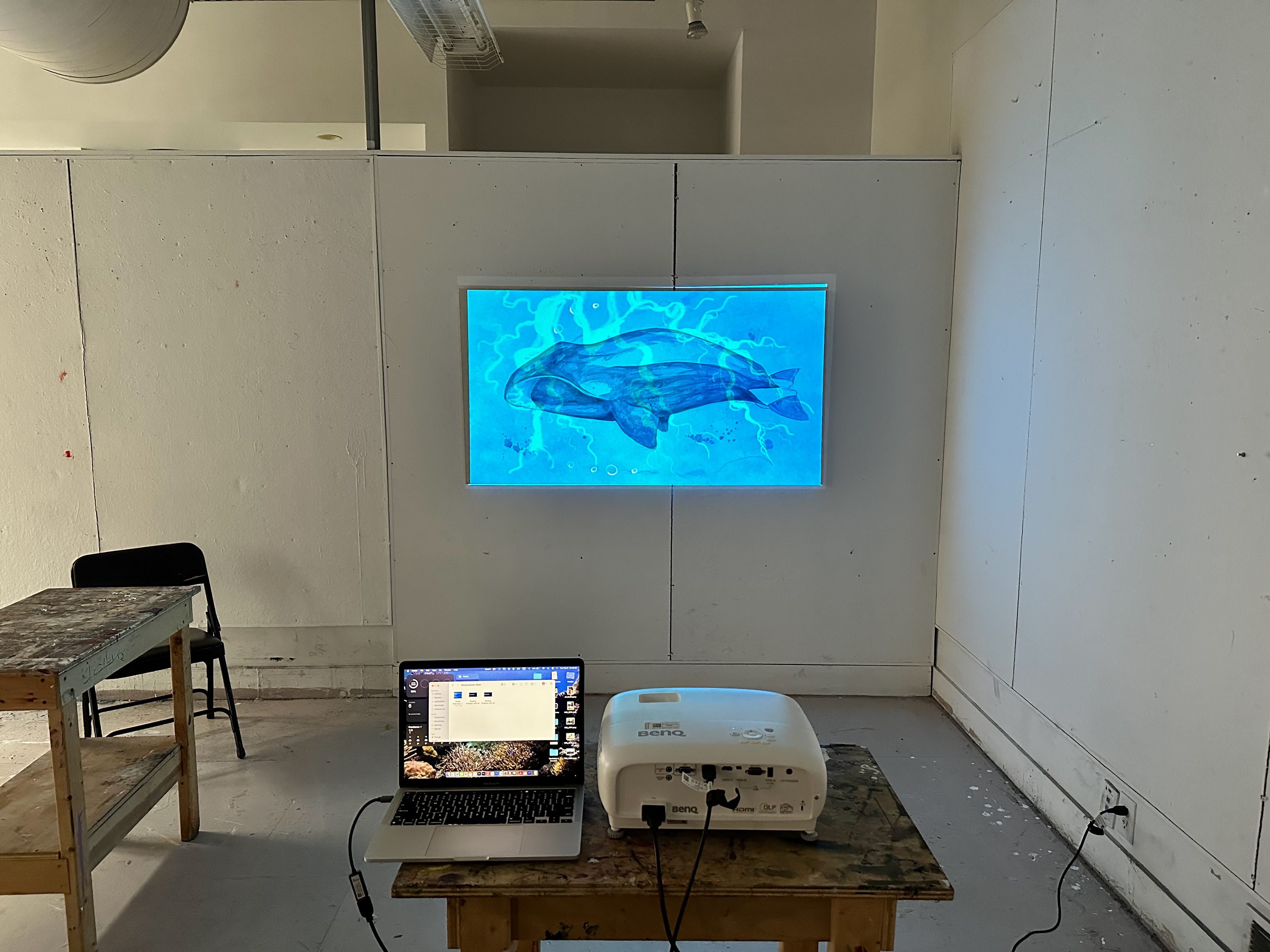 "I See the Whale, The Whale Sees Me", single-channel video projection on canvas with acrylics