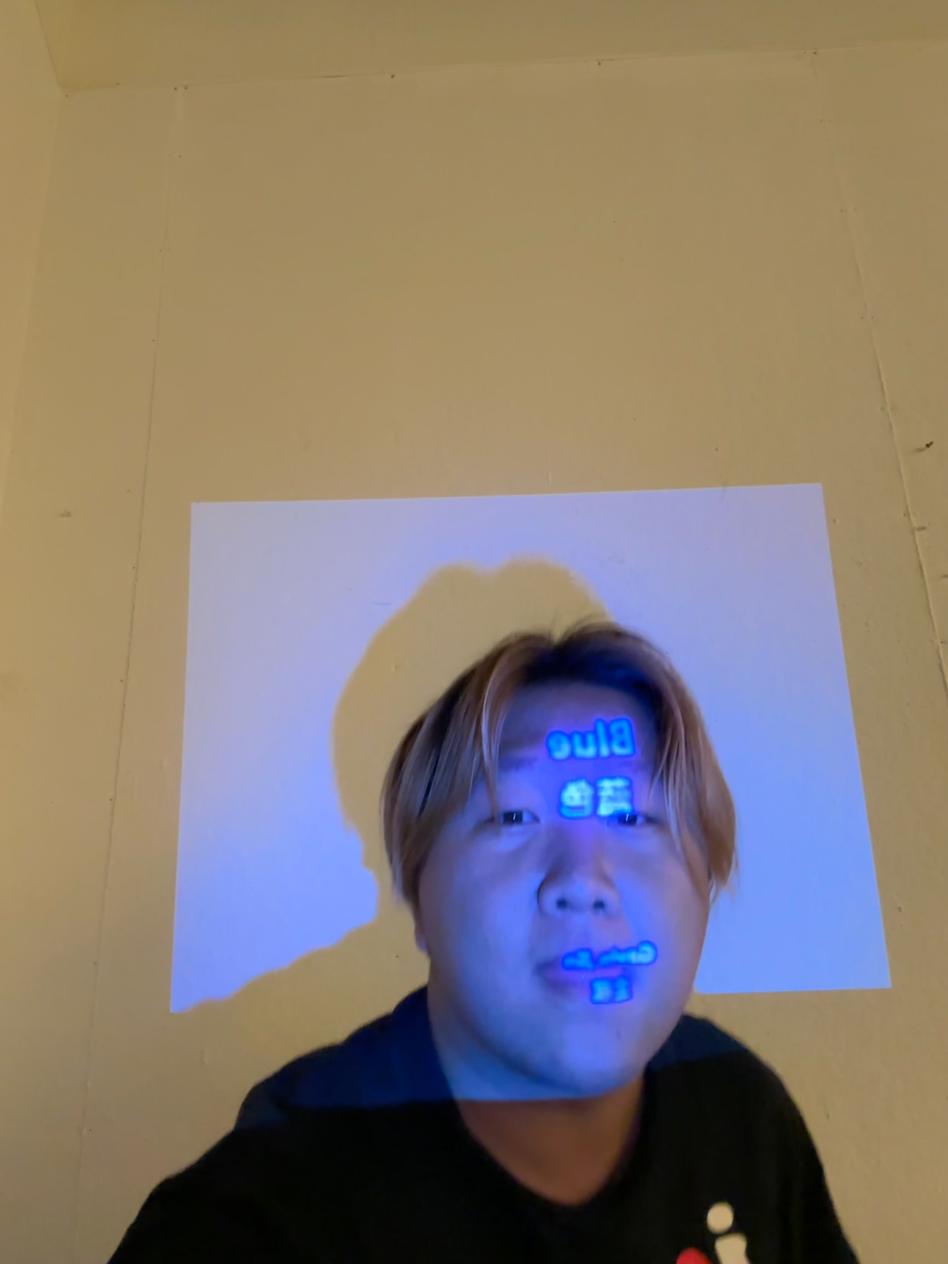 "Blue", single-channel video projection and cut-out prints, installation view