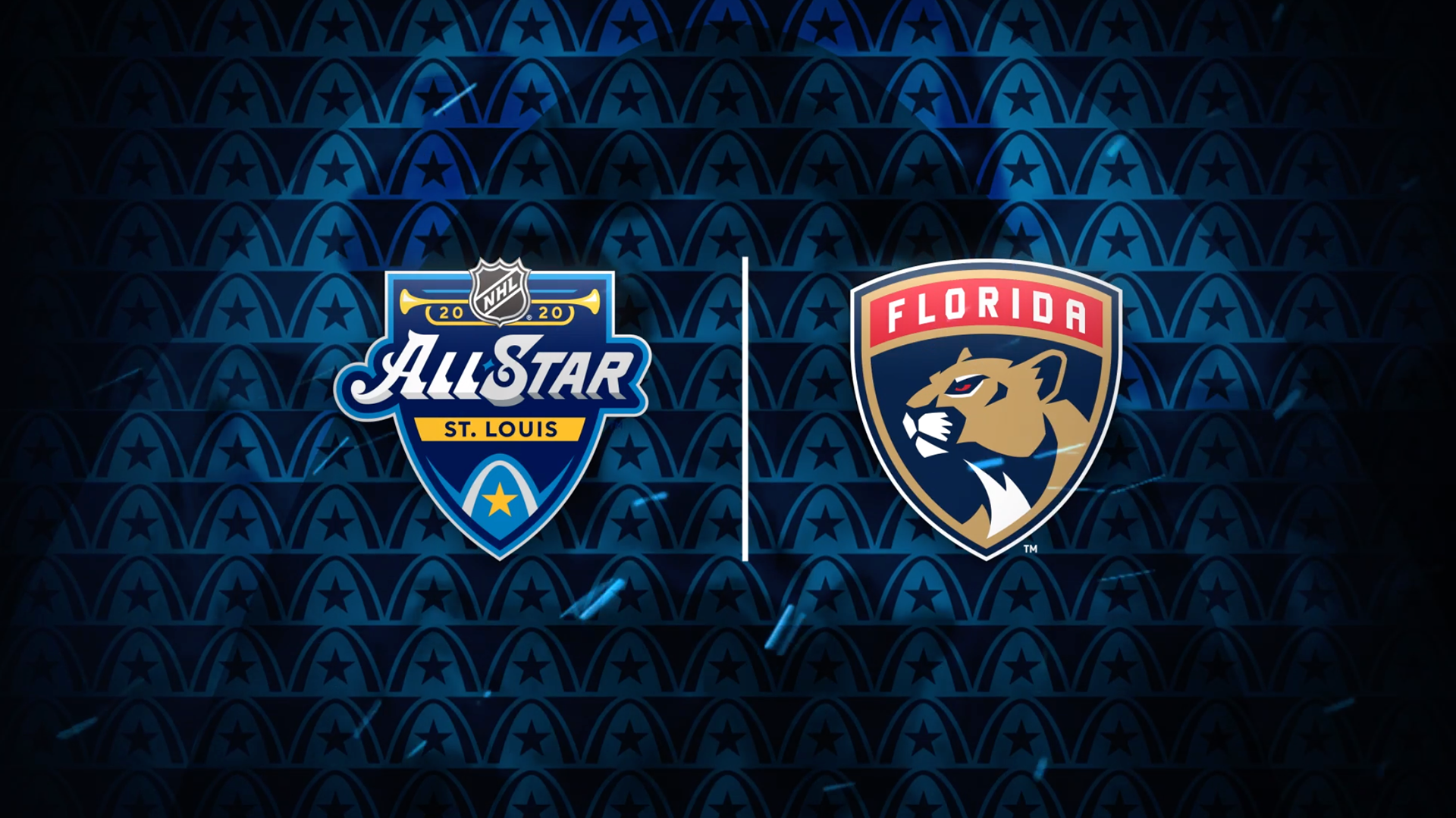 Florida Panthers designs, themes, templates and downloadable graphic  elements on Dribbble