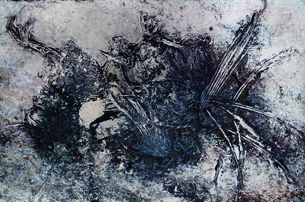 Little Bird | 2013 | 24" x 36" | Collagraph to digital, dye sublimation print on metal