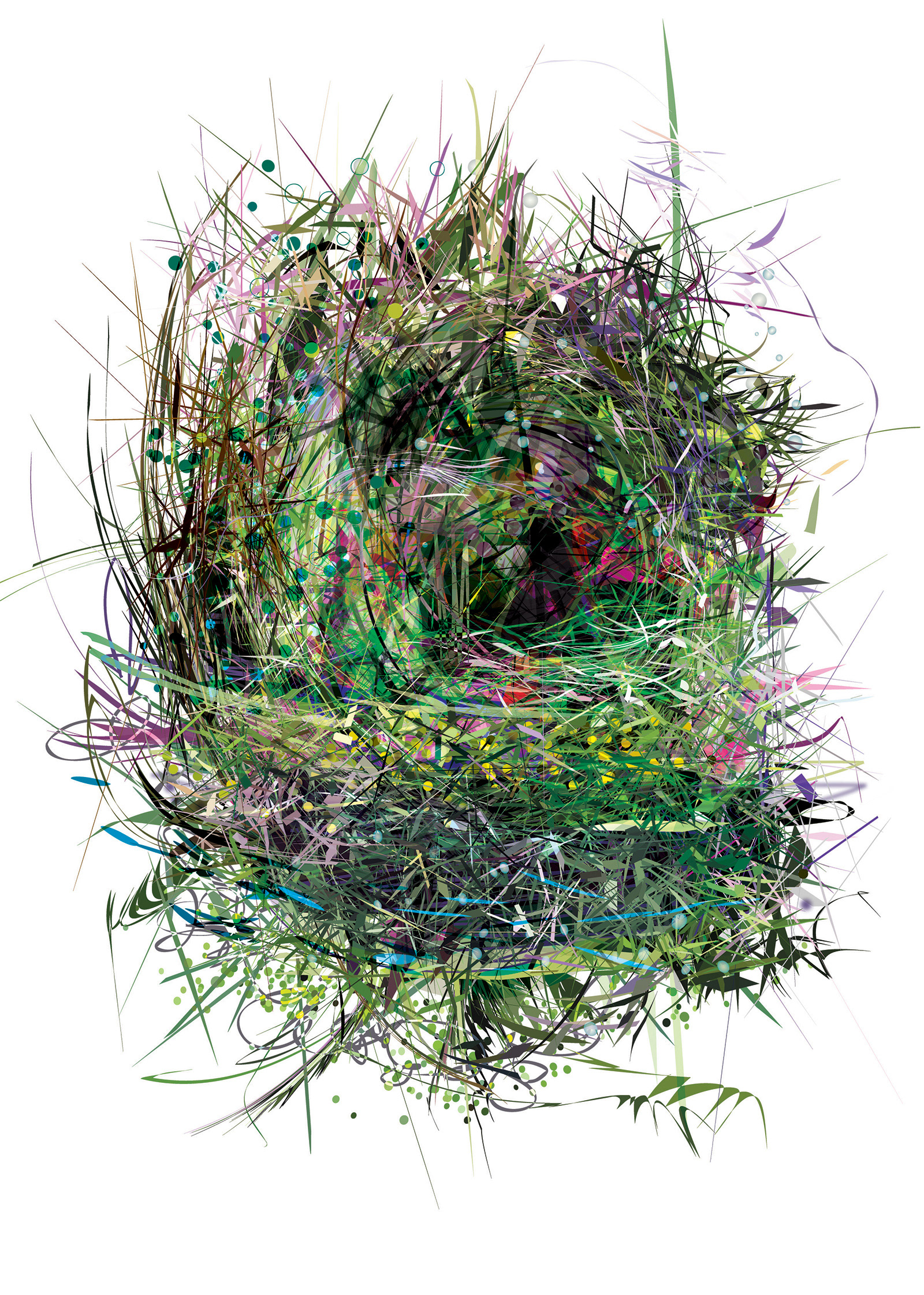 Heim | 2009 | 42"  30"