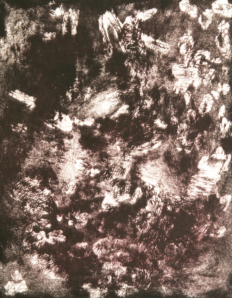 Rabbit | 2011 | Etching, drypoint , aquatint