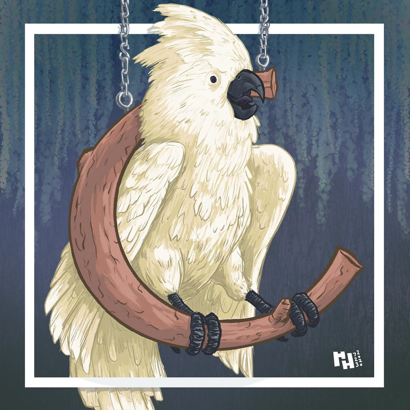 C is for Cockatoo