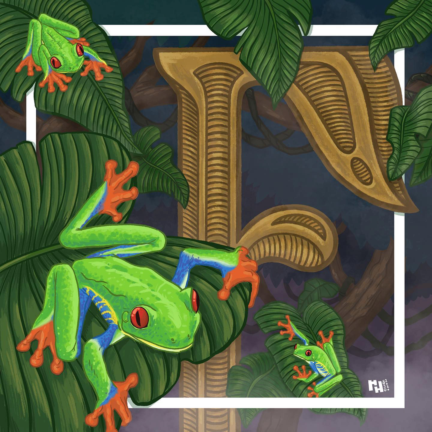 F is for red-eyed tree Frog