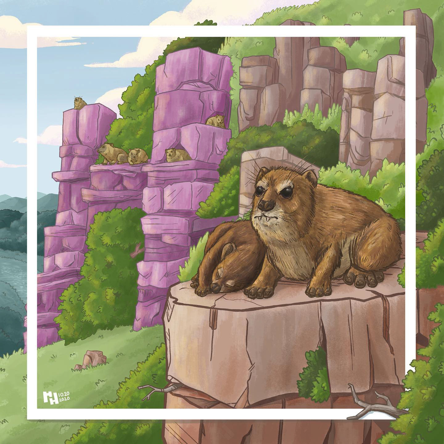 H is for Hyrax