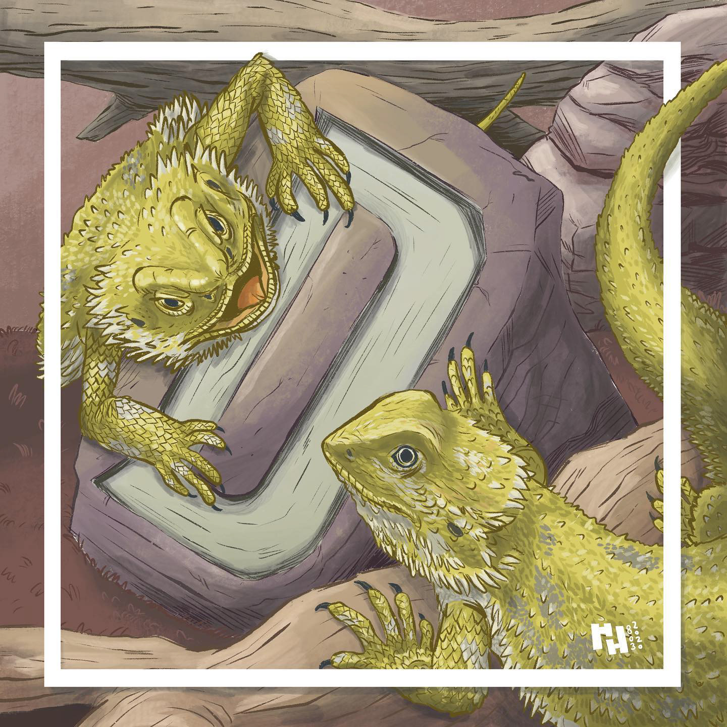 D is for bearded Dragon