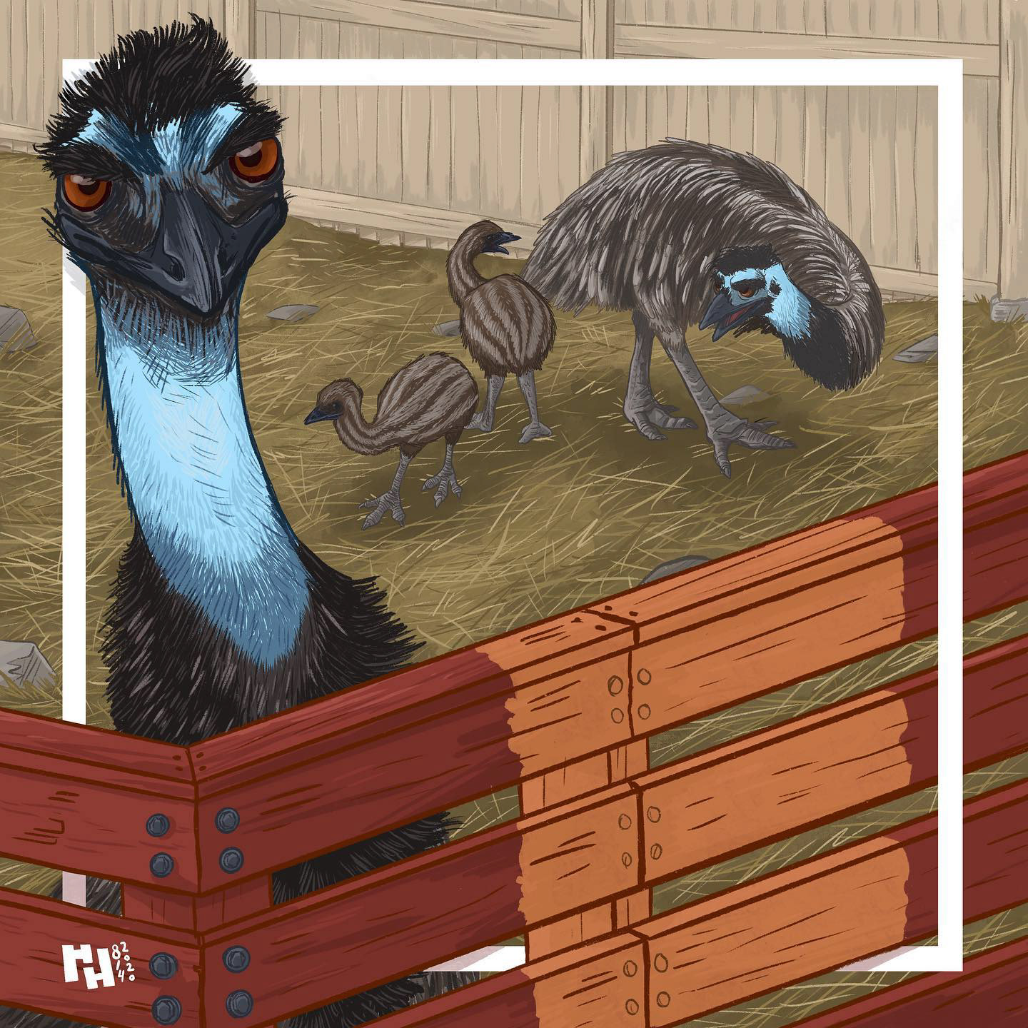 E is for Emu