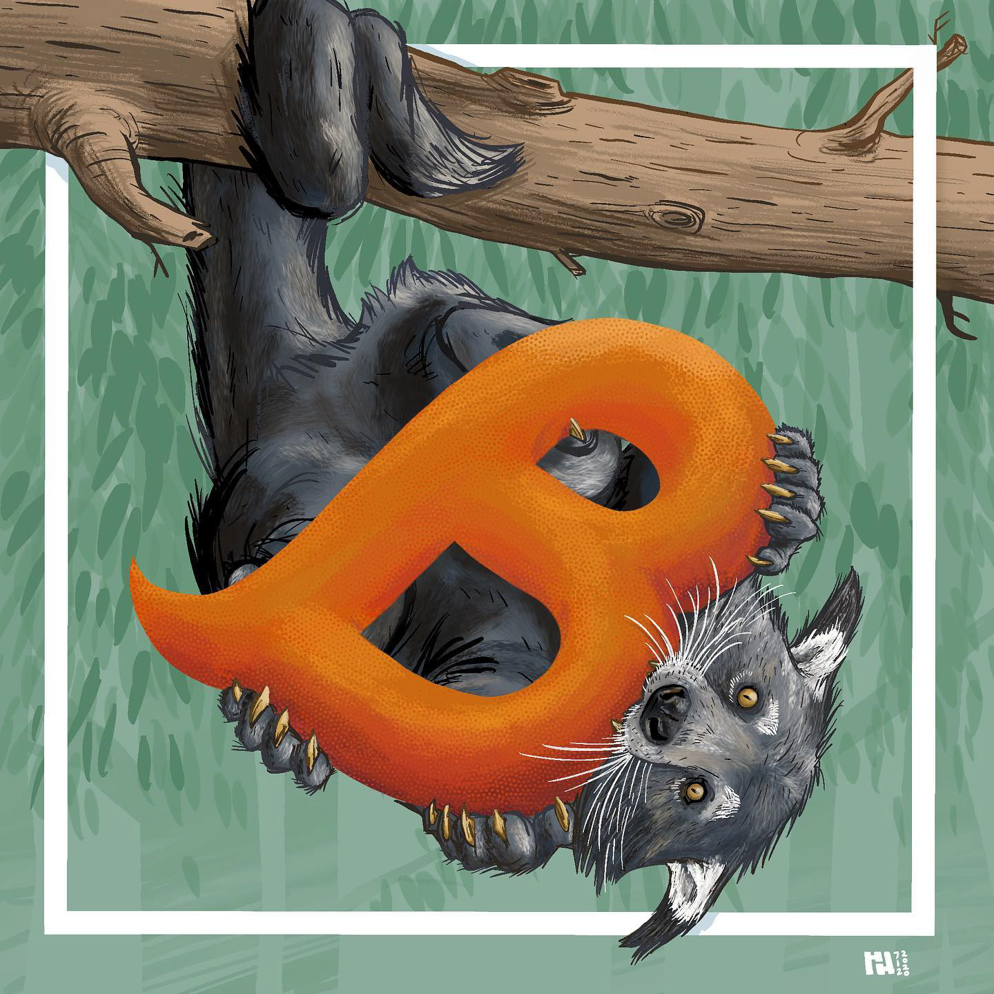 B is for Binturong