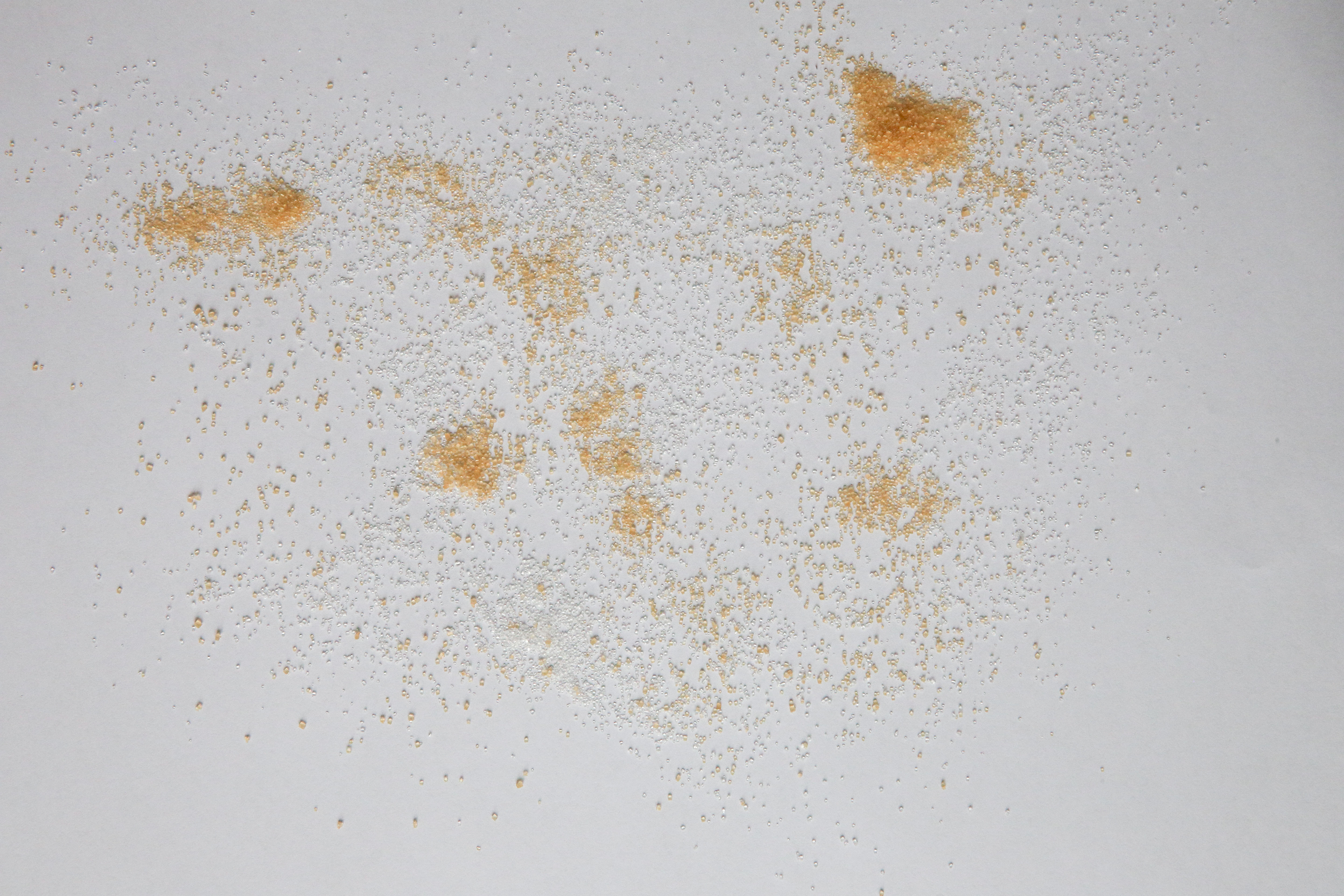 Šak poznáš, řekl neŽIT. Otevřel nůž. Zřejmě byl velmi ostrý. Tohle je jáMOR, pravil, sevřel nůž a uťal si palec a ten klesl do nádrže plné sotva narozených pstruhů. Z rány vytryskla krev, stékala po ruce a odkapávala na zem. 