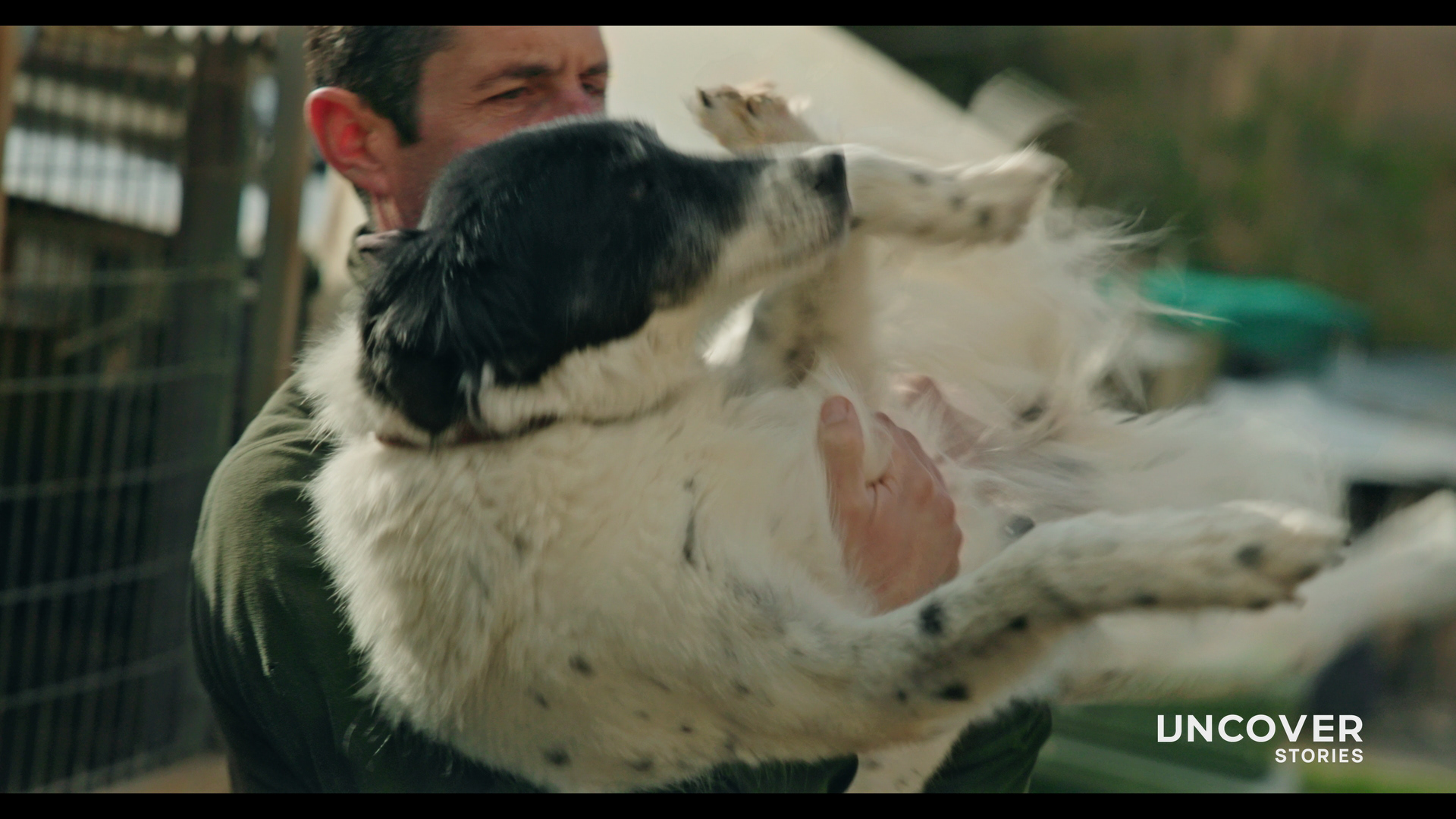 Τα Σκυλιά Πάνε Πάντα Στον Παράδεισο | Uncover Stories