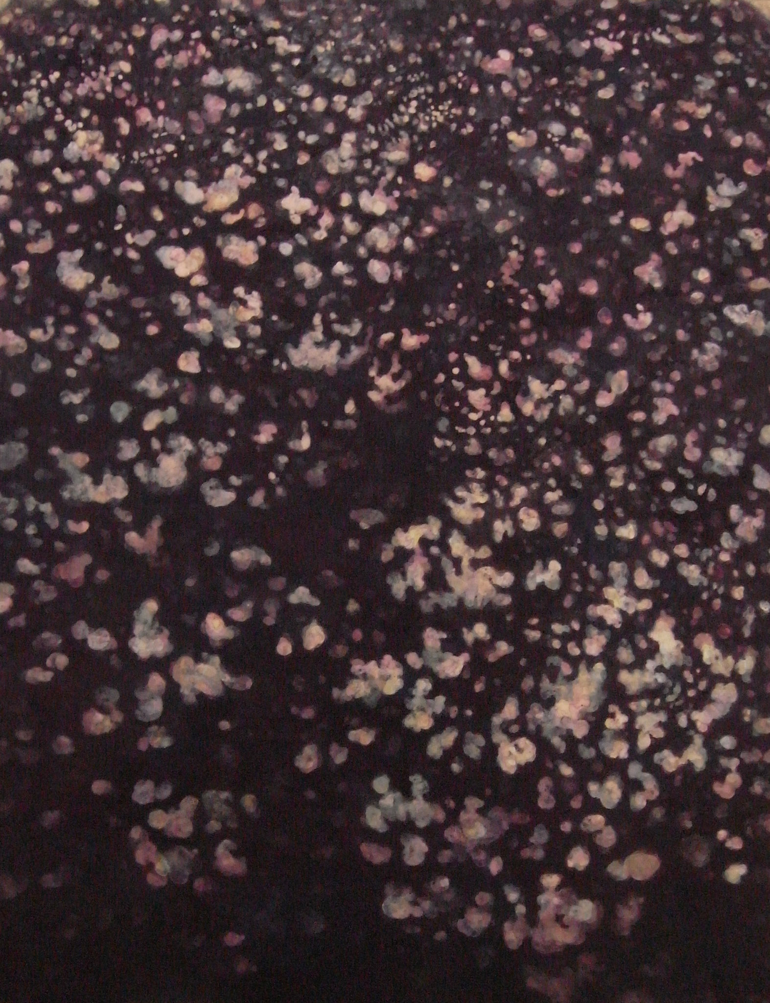 こもれびあしび