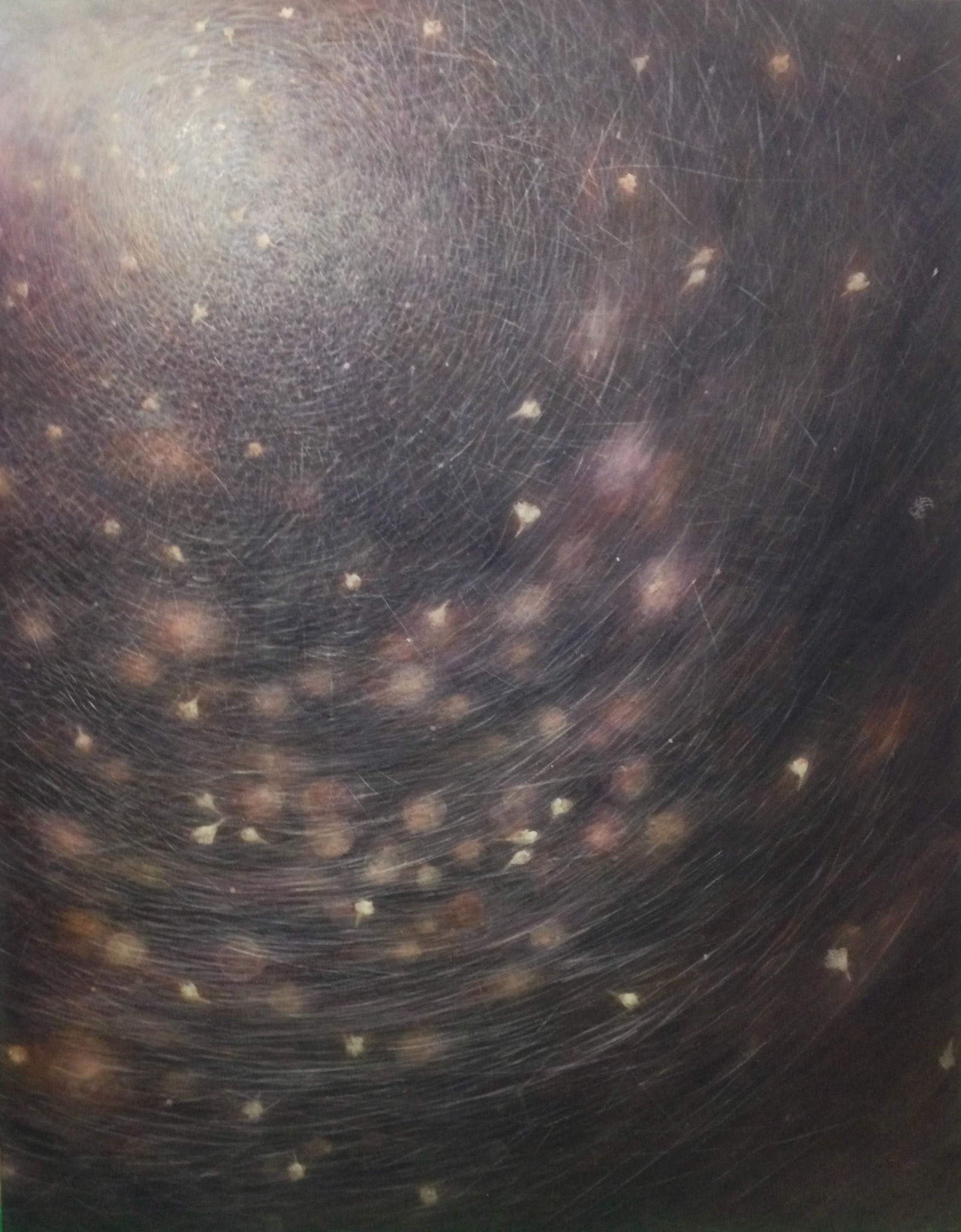 命の芳さ　ー たまあしび ー