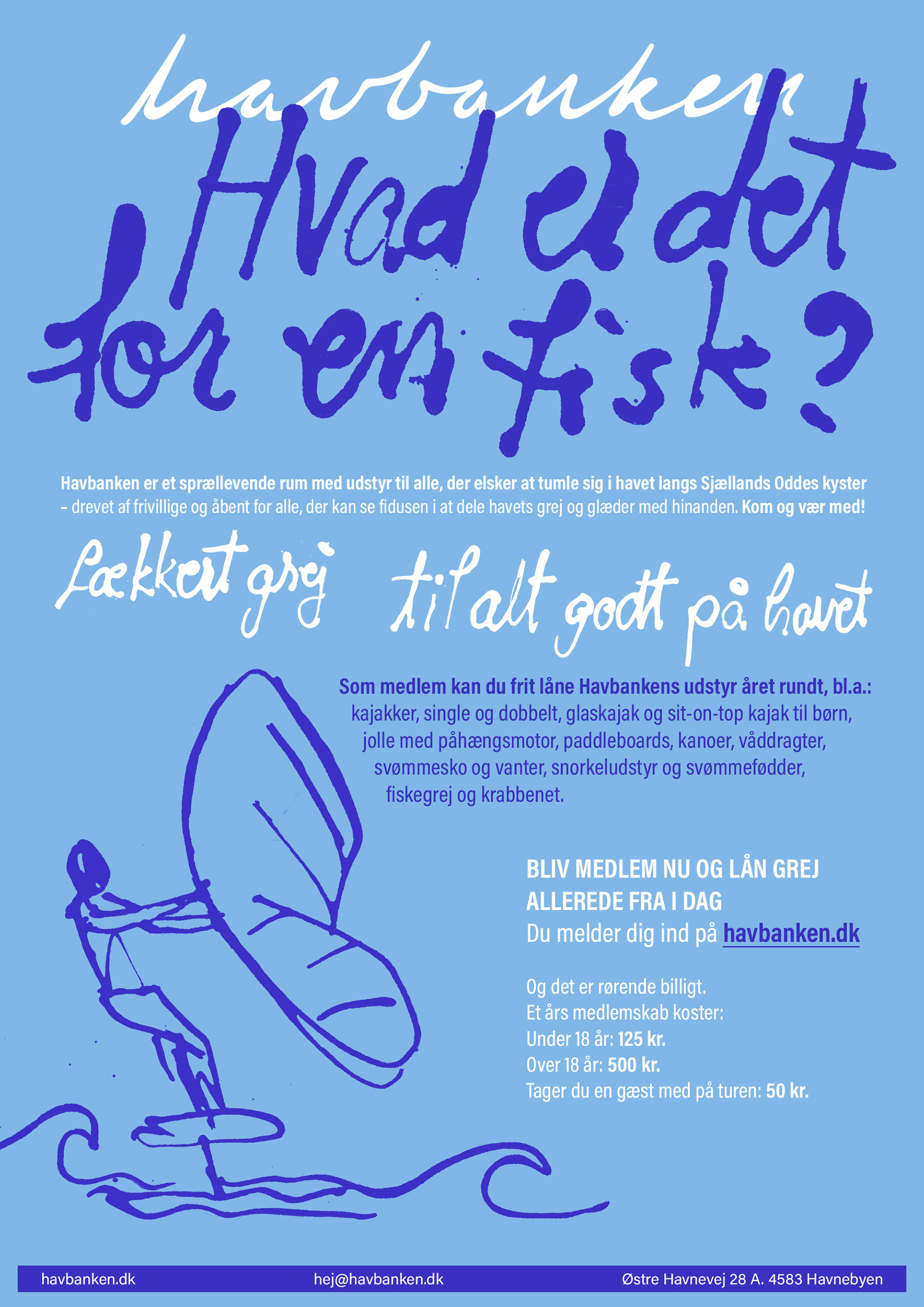 Inky Illustration & Poster design & inky illustration by Silvia Paizan for Havbanken.