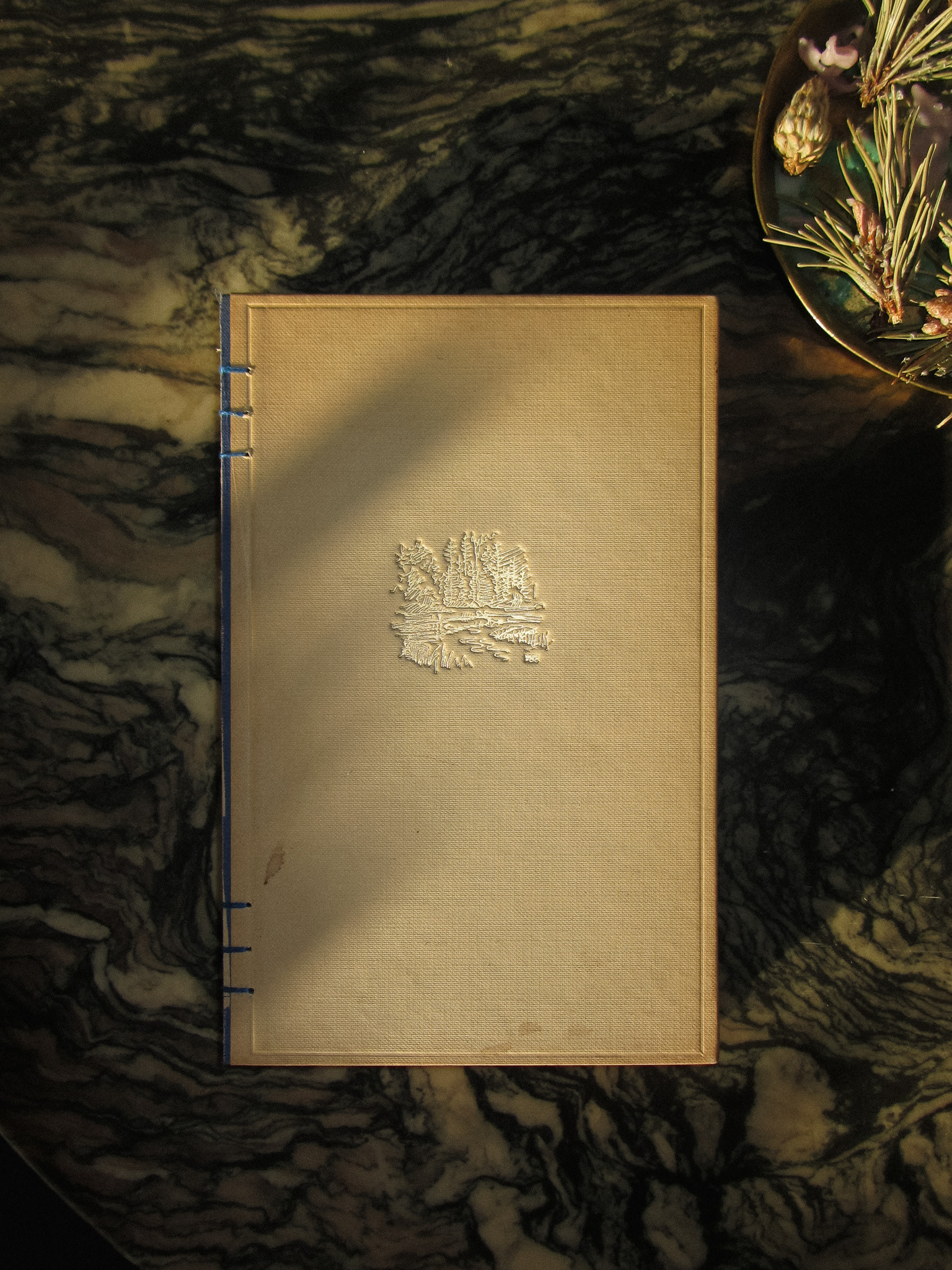 #landscape1, unavailable